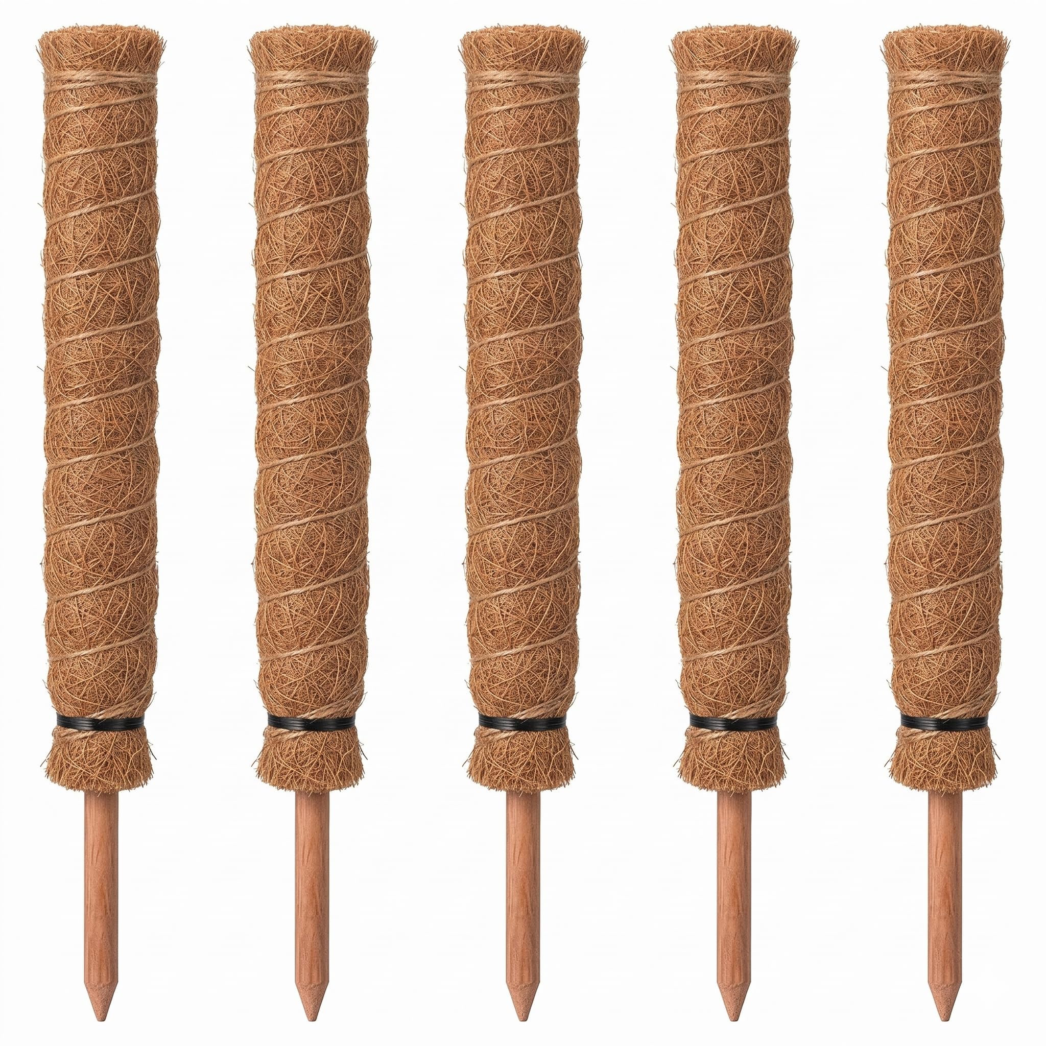 Premium Coco Pole for Climbing Plants (Pack of 5) - Eco-Friendly Coir Stick for Money Plant, Monstera, and Home Garden Moss Pole Support Cocopeat (Nestra Green) (2FT)-image-44