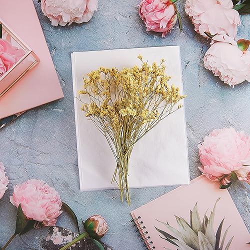 Miniatura 6 de 50 piezas de recambio de prensa de flores A5, recambio de papel secante reutilizable para prensa de flores, papel de forro de papel de flores en