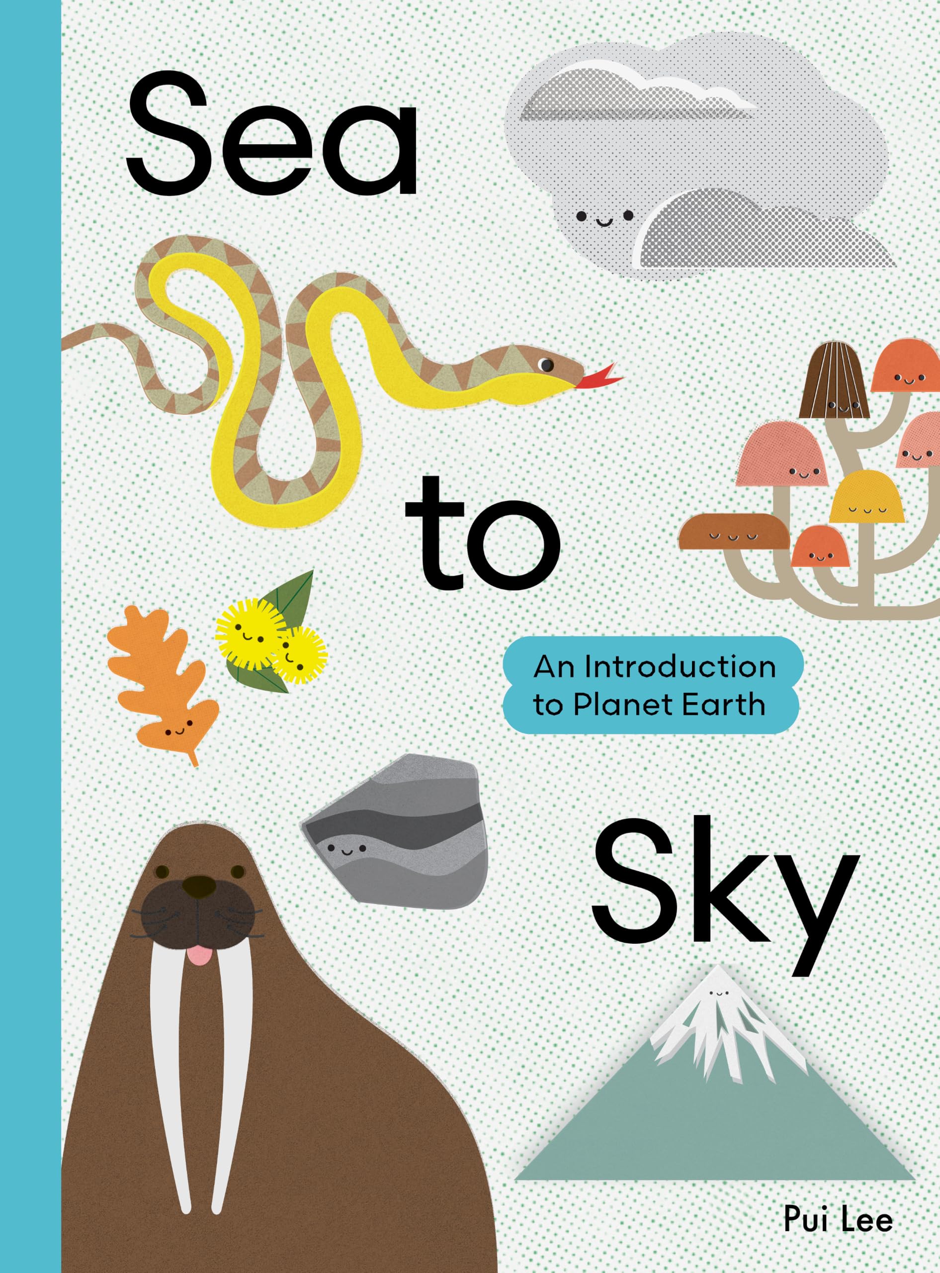 Sea to Sky: An Introduction to Planet Earth (An Introduction to... series)