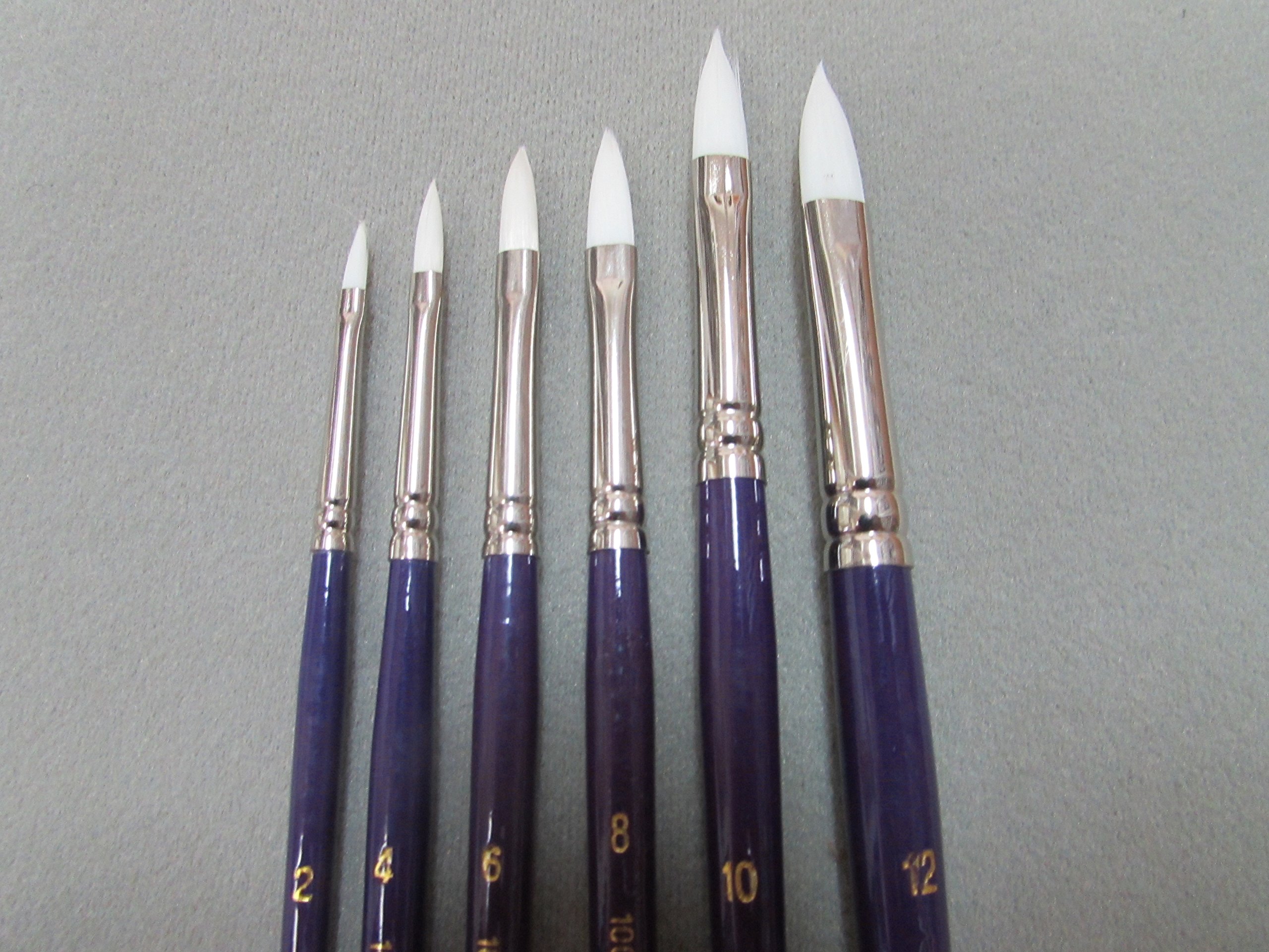 6- Artist Quality Brush Set Synthetic White Sable Brushes Filbert Shape #2-4-6-8-10-12