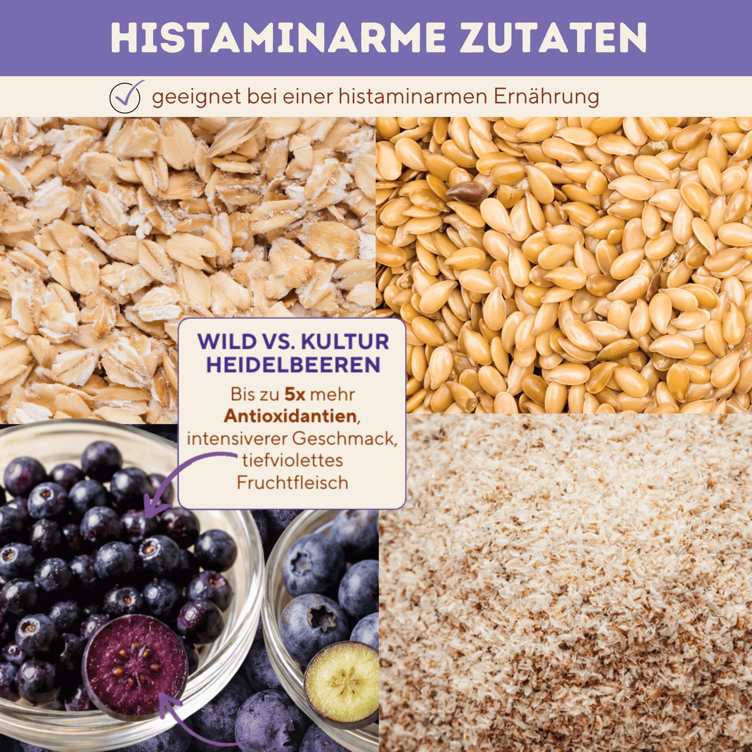 Baelanse® Haferriegel - Ohne Zuckerzusatz, vegan, glutenfrei, nussfrei, ballaststoffreich, mit Bakterienkulturen - Gesunder Snack für Darmgesundheit- 12x40g - Blaubeere