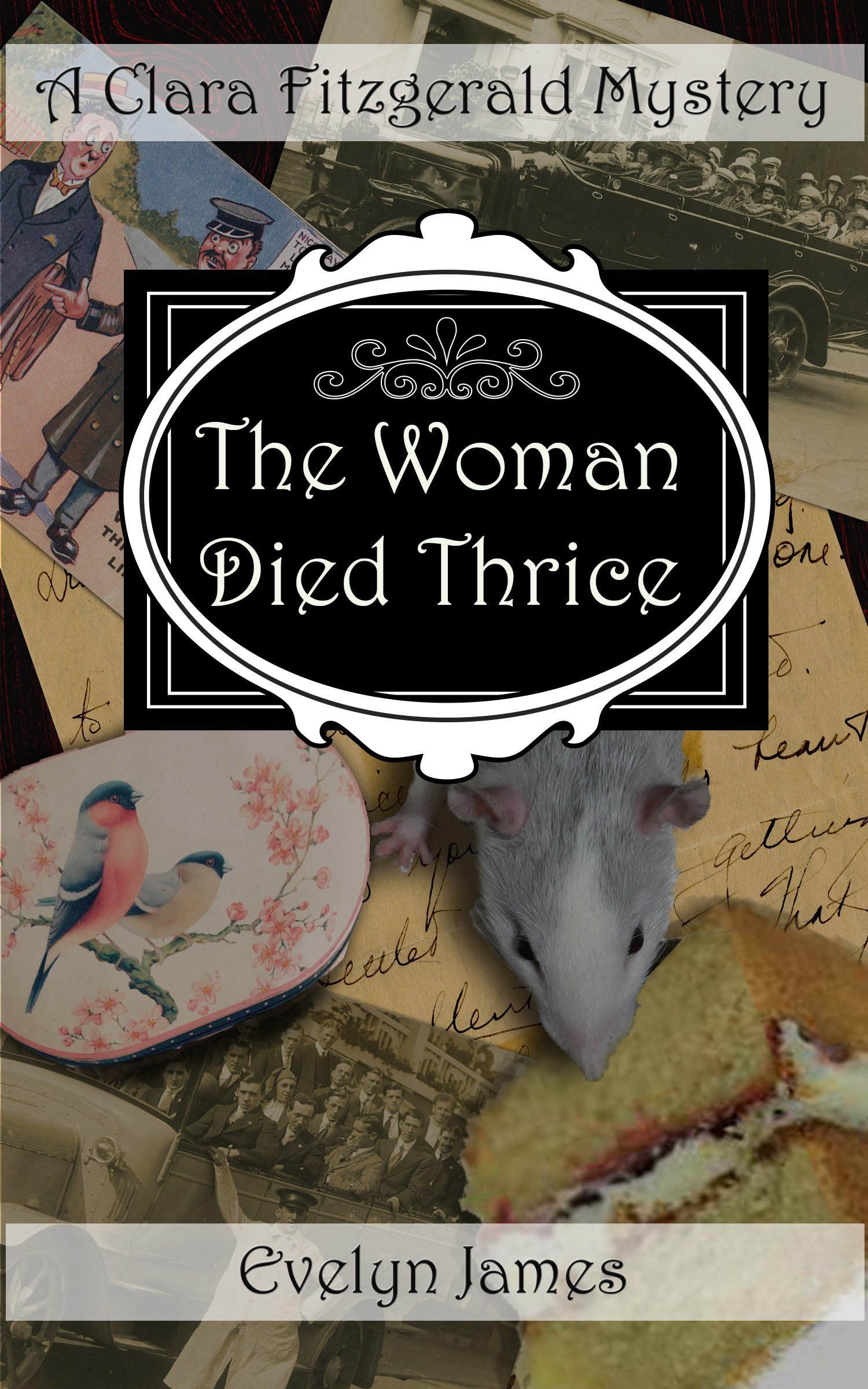 The Woman Died Thrice: A Clara Fitzgerald Mystery (The Clara Fitzgerald Mysteries Book 8)