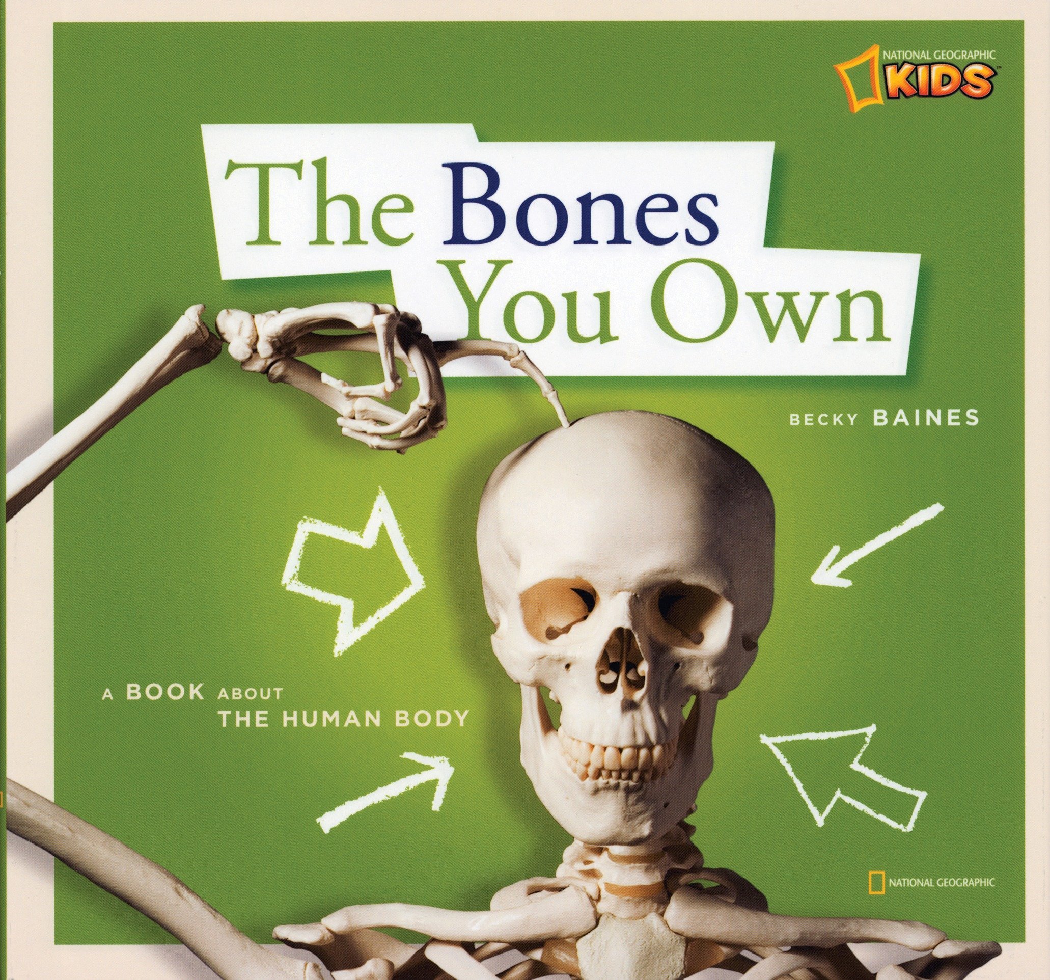 Zigzag: The Bones You Own (Zigzag): A Book About the Human Body
