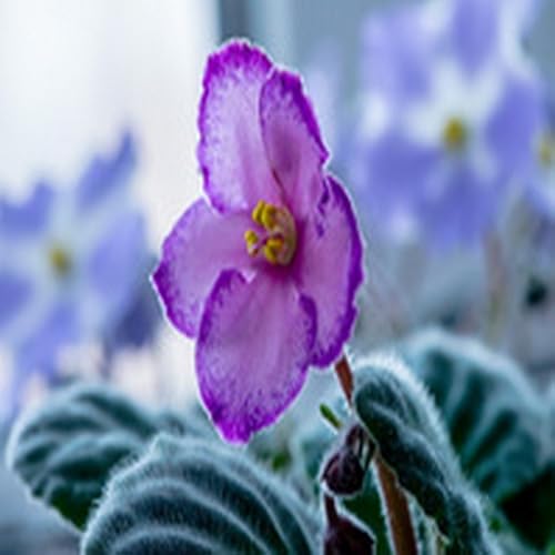 Bharli Bhendi Recipe - //medicalbooks.filipinodoctors.org