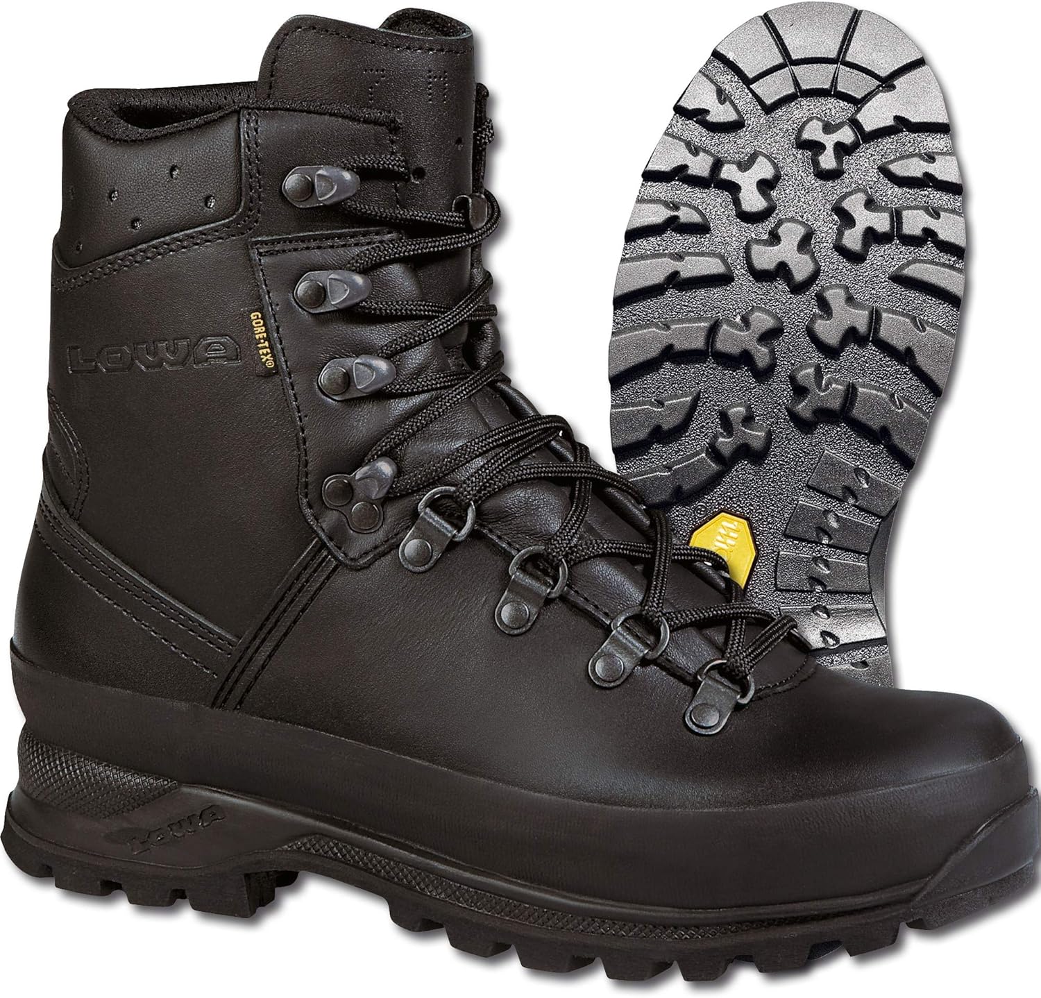 mountain boot gtx