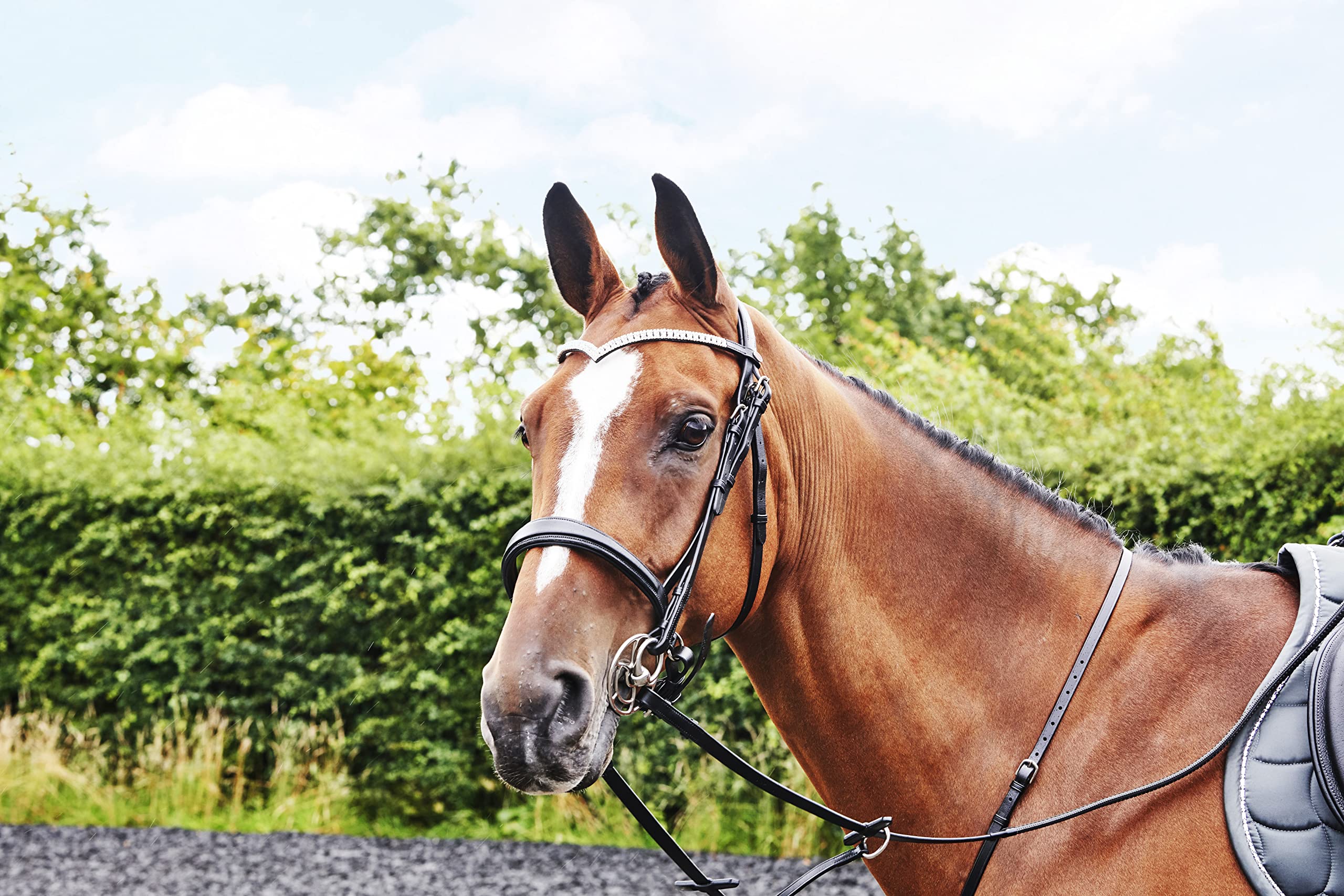 John Whitaker Whitaker Lynton Diamante V-Shaped Browband Frontal en V avec Strass Mixte
