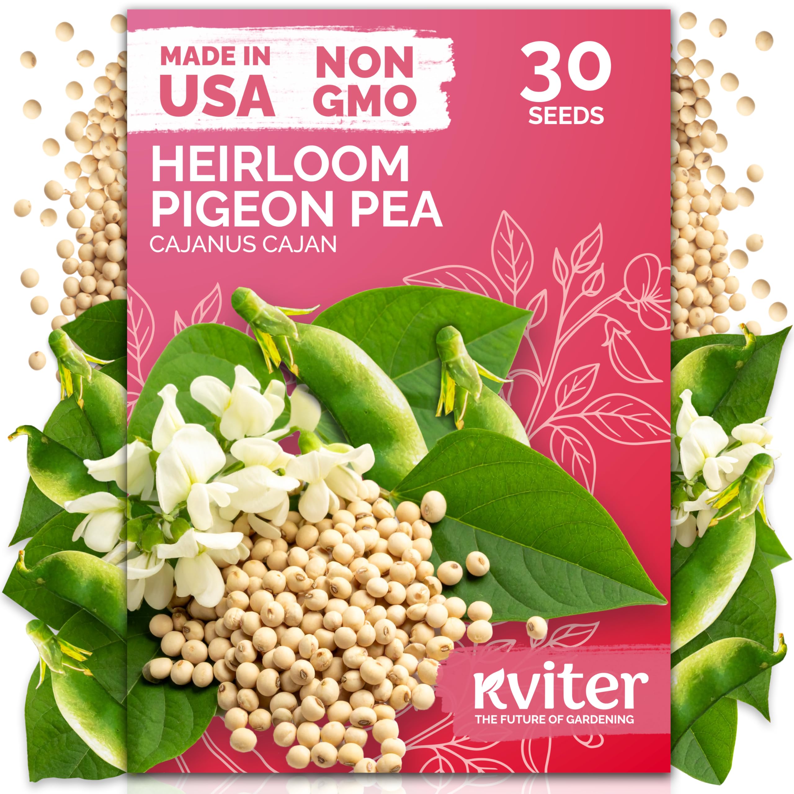 KVITER 30 Guandules Pigeon Peas Seeds for Planting (Cajanus Cajan) – a.k.a Gandules Goya, Gungo Peas, Congo Pea Non GMO & Organic – Heirloom Vegetable Seeds to Plant in Outdoor Garden & Trellises