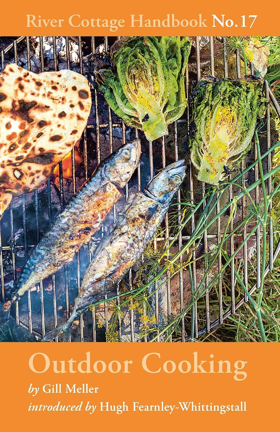 Cucina all’aperto: Manuale No.17 del River Cottage