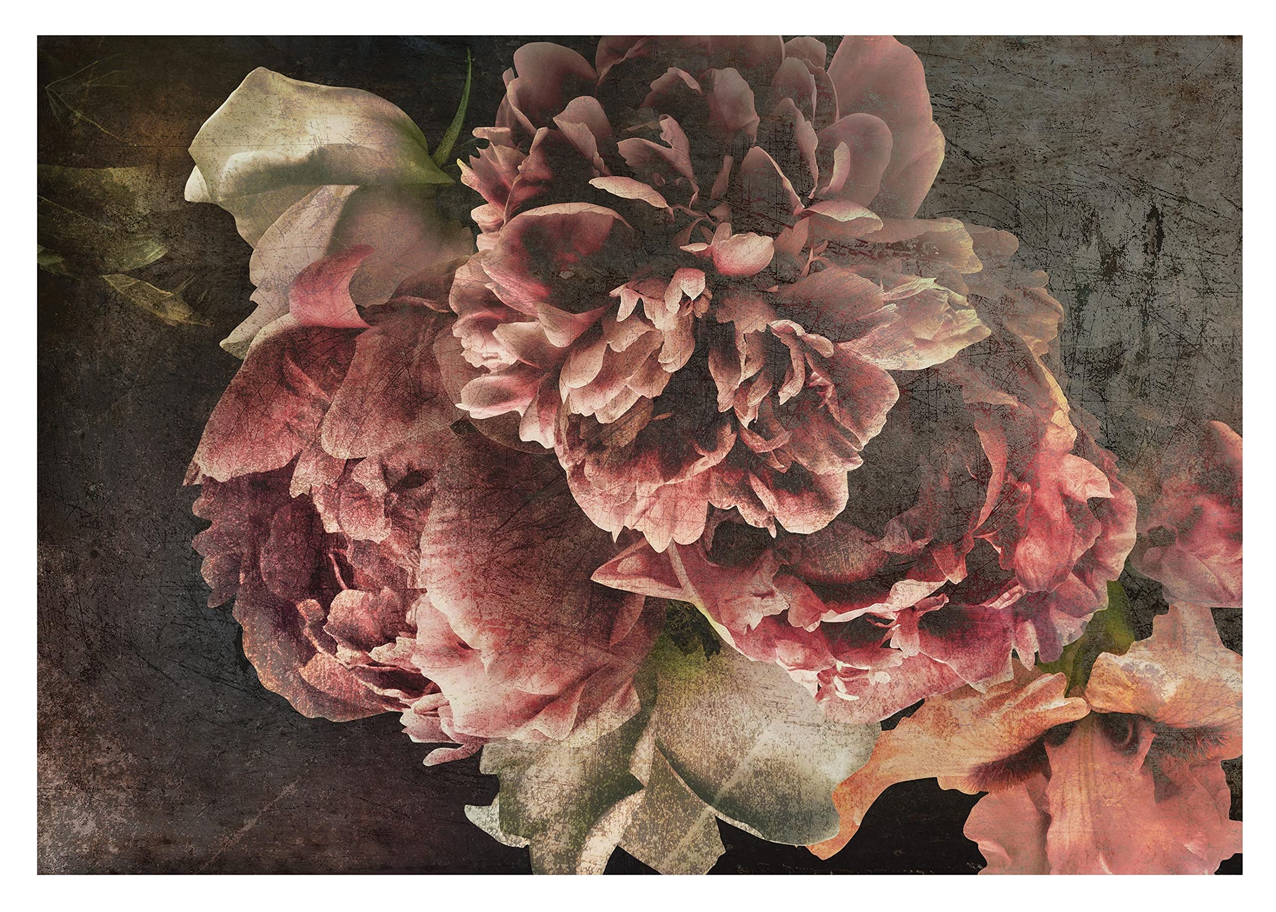 WallArena - Carta da parati fotografica - Fiori, Vintage, Murale fotografico - Per soggiorno e camera da letto - Effetto 3D - con Colla - Peonie, Peonie, Cemento