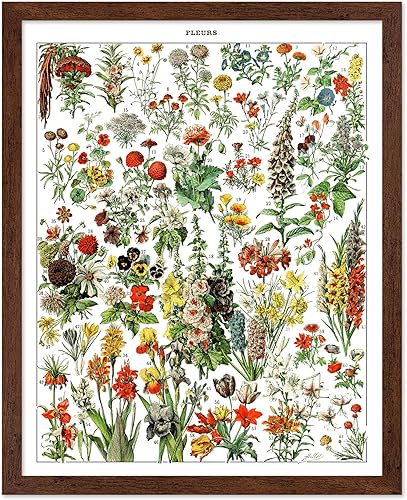 Miniatura 153 de Poster Master Póster vintage de orquídea, estampado de flores retro, arte de pared de plantas exóticas, arte botánico, regalo para hombres y