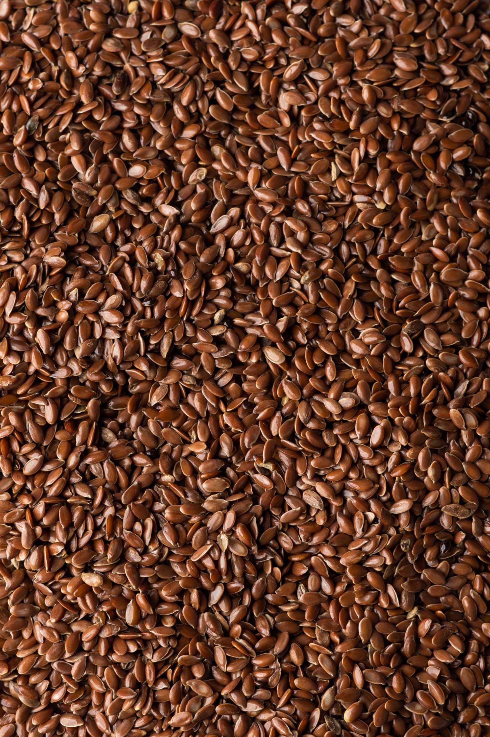 Biojoy Semillas de Lino Orgánicas (2,5 kg), crudas y enteras, sin aditivos