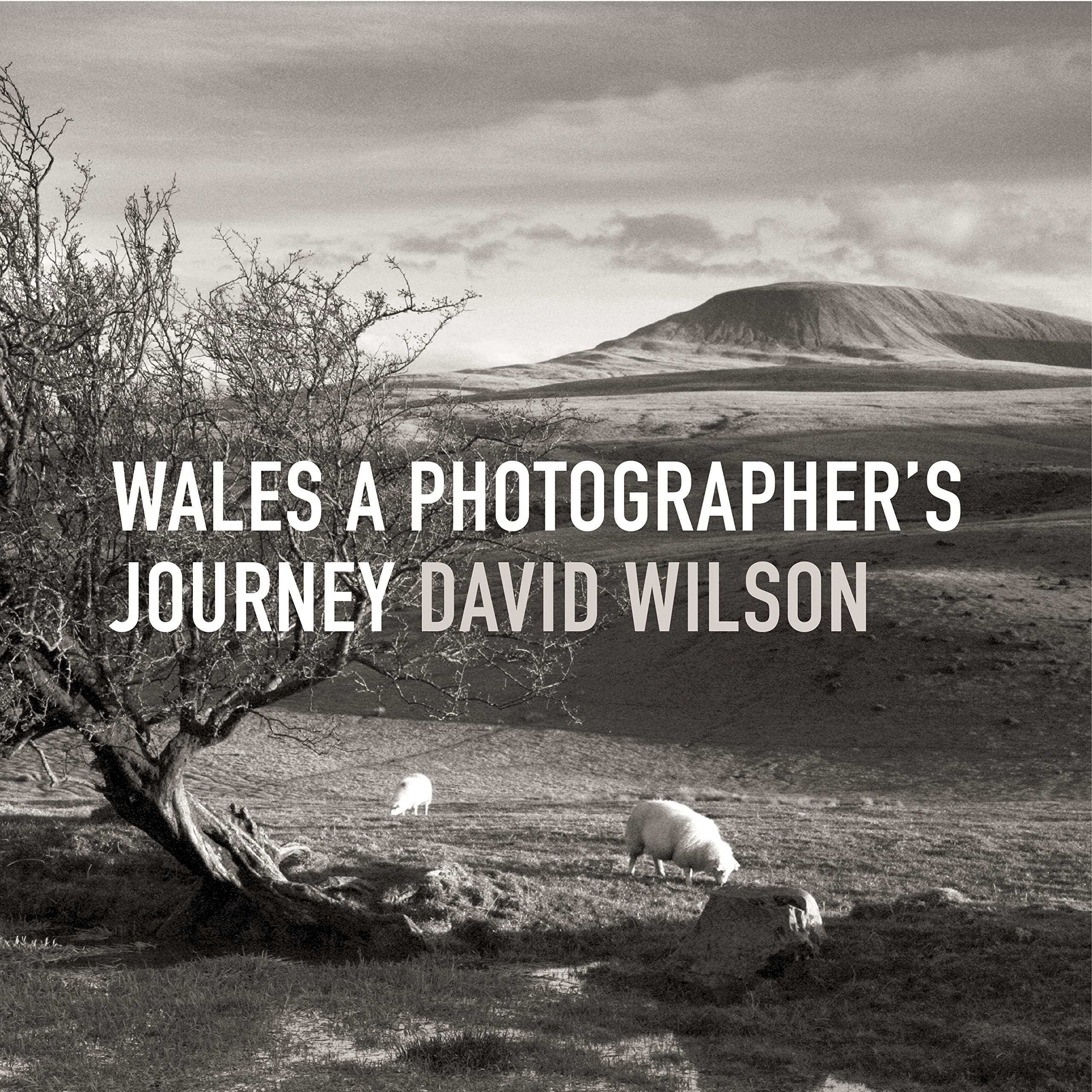 Wales - A Photographer's Journey by David Wilson (Hardback Book)