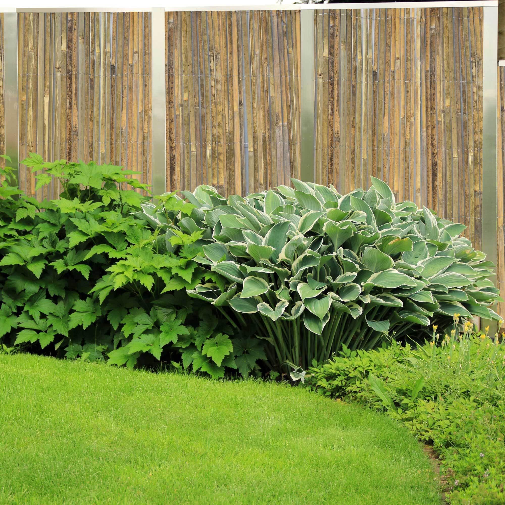 UNUS Bambus-Sichtschutzmatte 160x300 Flacher Bambus Sichtschutz Gartenzaun
