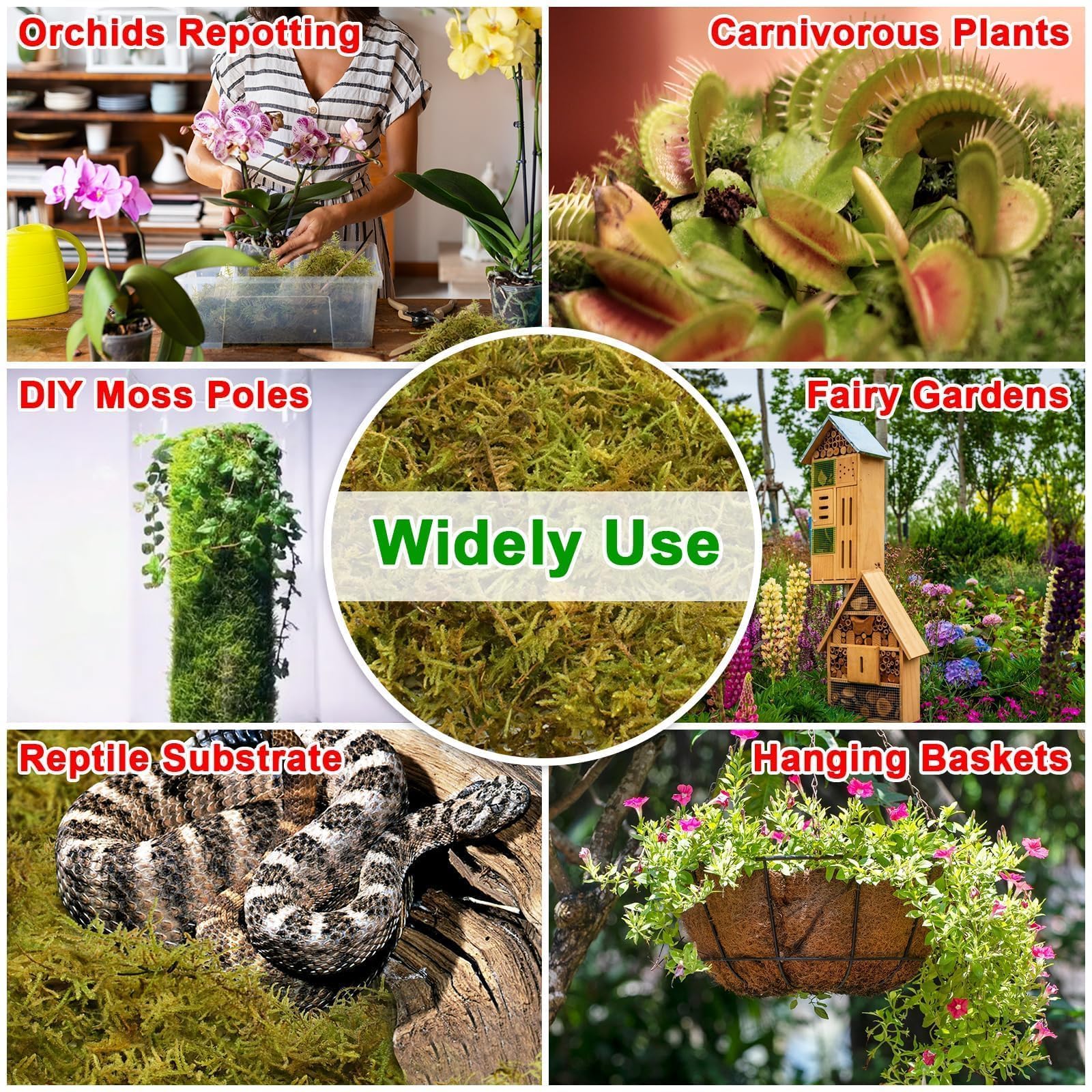 Halatool Tierra para macetas de orquídeas para plantas (226 g)