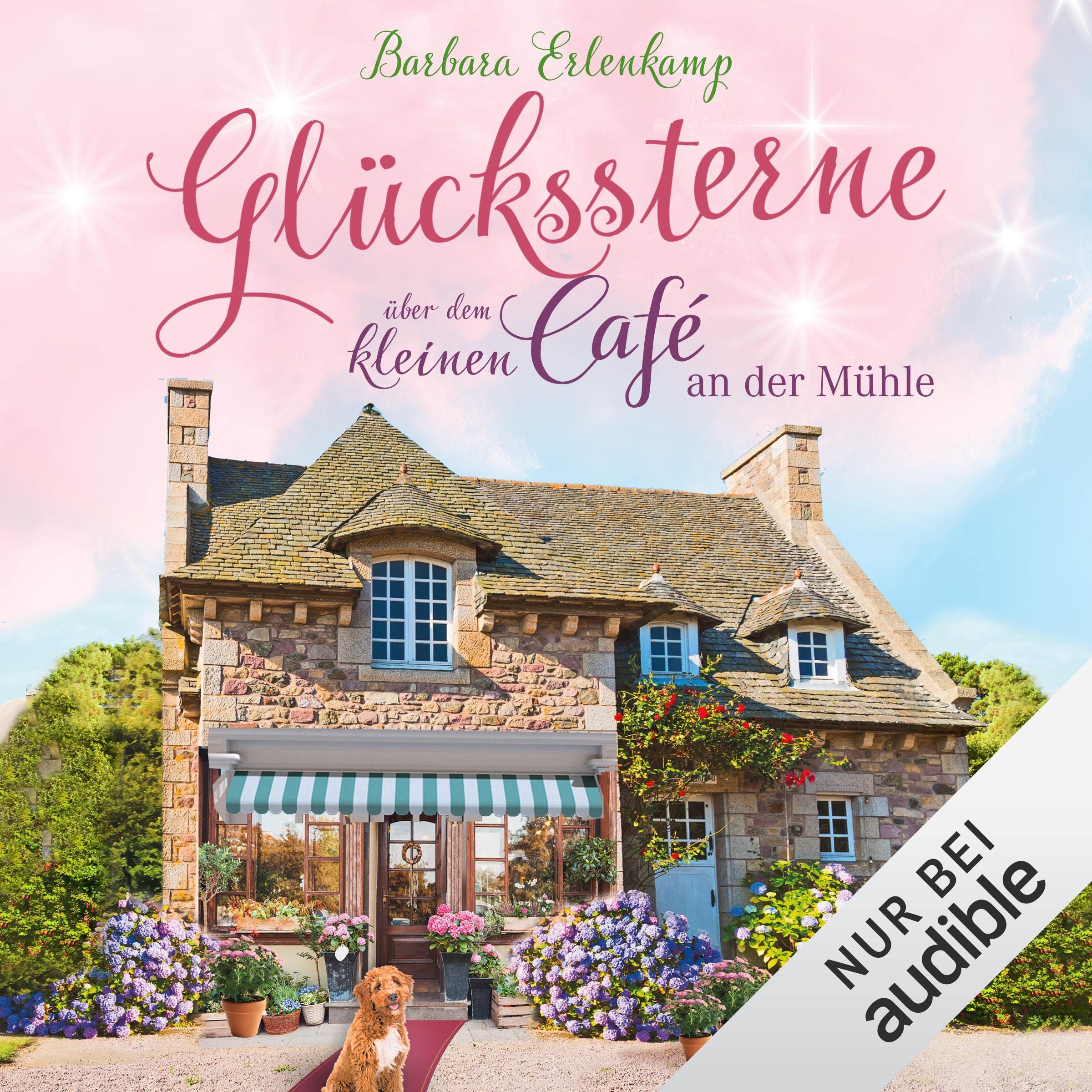 Cover art for Glückssterne über dem kleinen Café an der Mühle