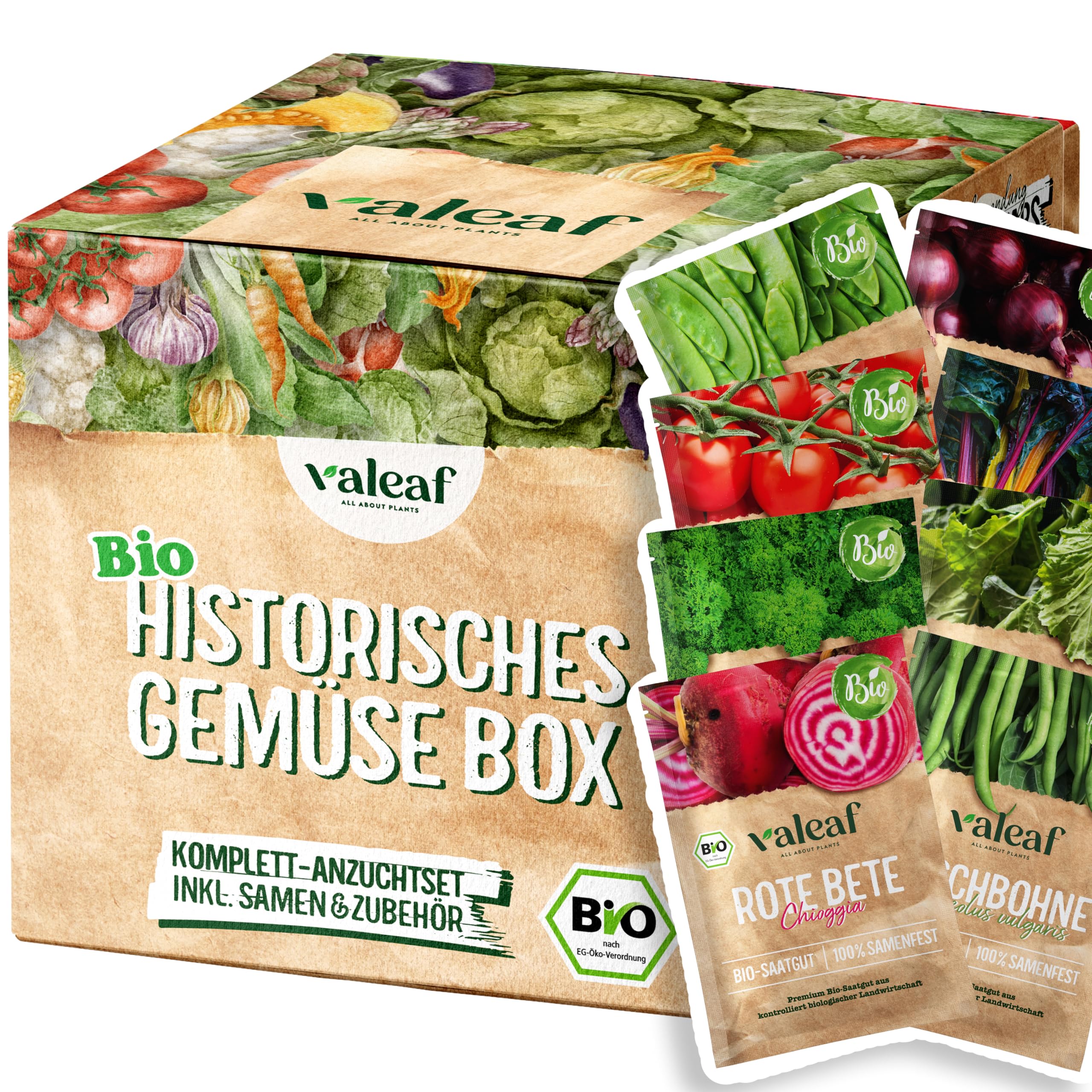 valeaf BIO Historisches Gemse Starter Kit I Seltene Gemsesorten Samen im  Gemsesamen Set I Gemse Anzuchtset I samenfestes Saatgut I Samen Gemse  als Saat Geschenk Set I tolles Garten Geschenk : Amazon.de: