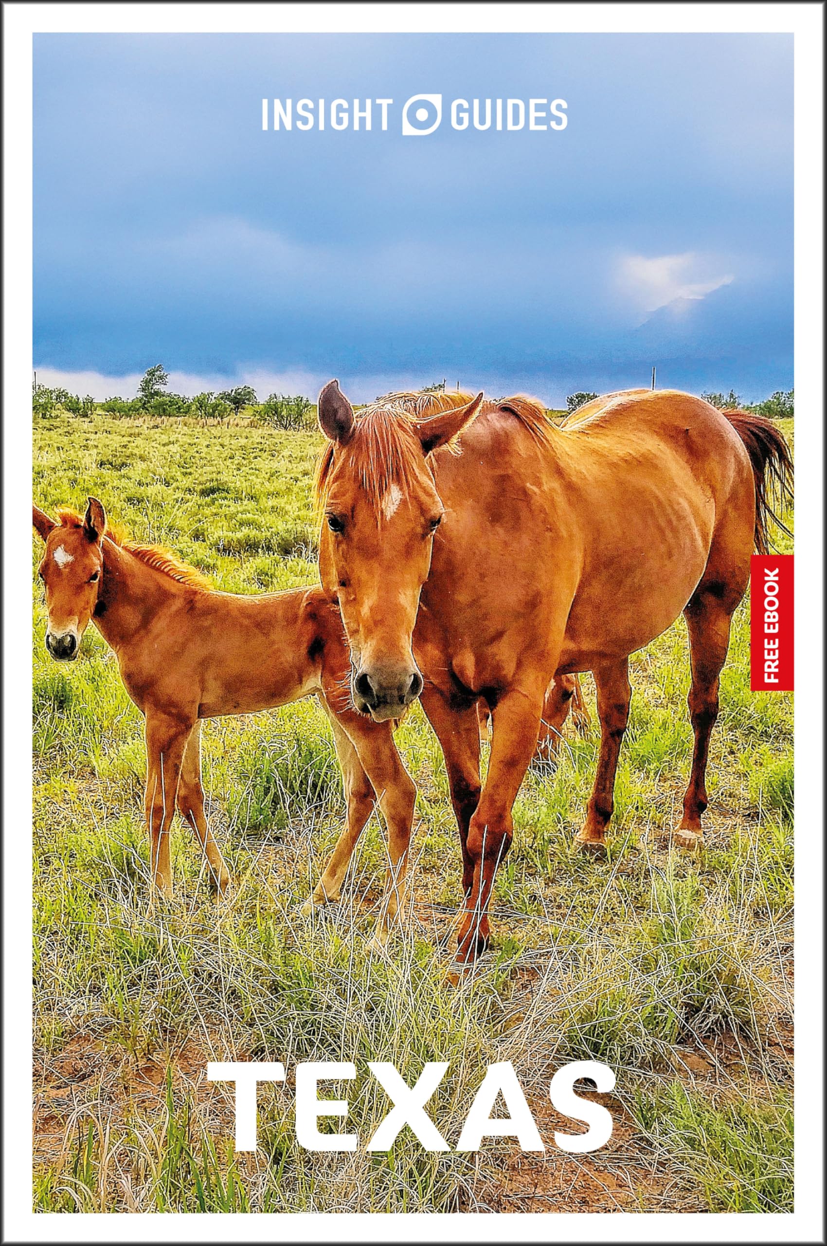 Insight Guides Texas: Travel Guide with eBook by Rashmi Narayan Paperback