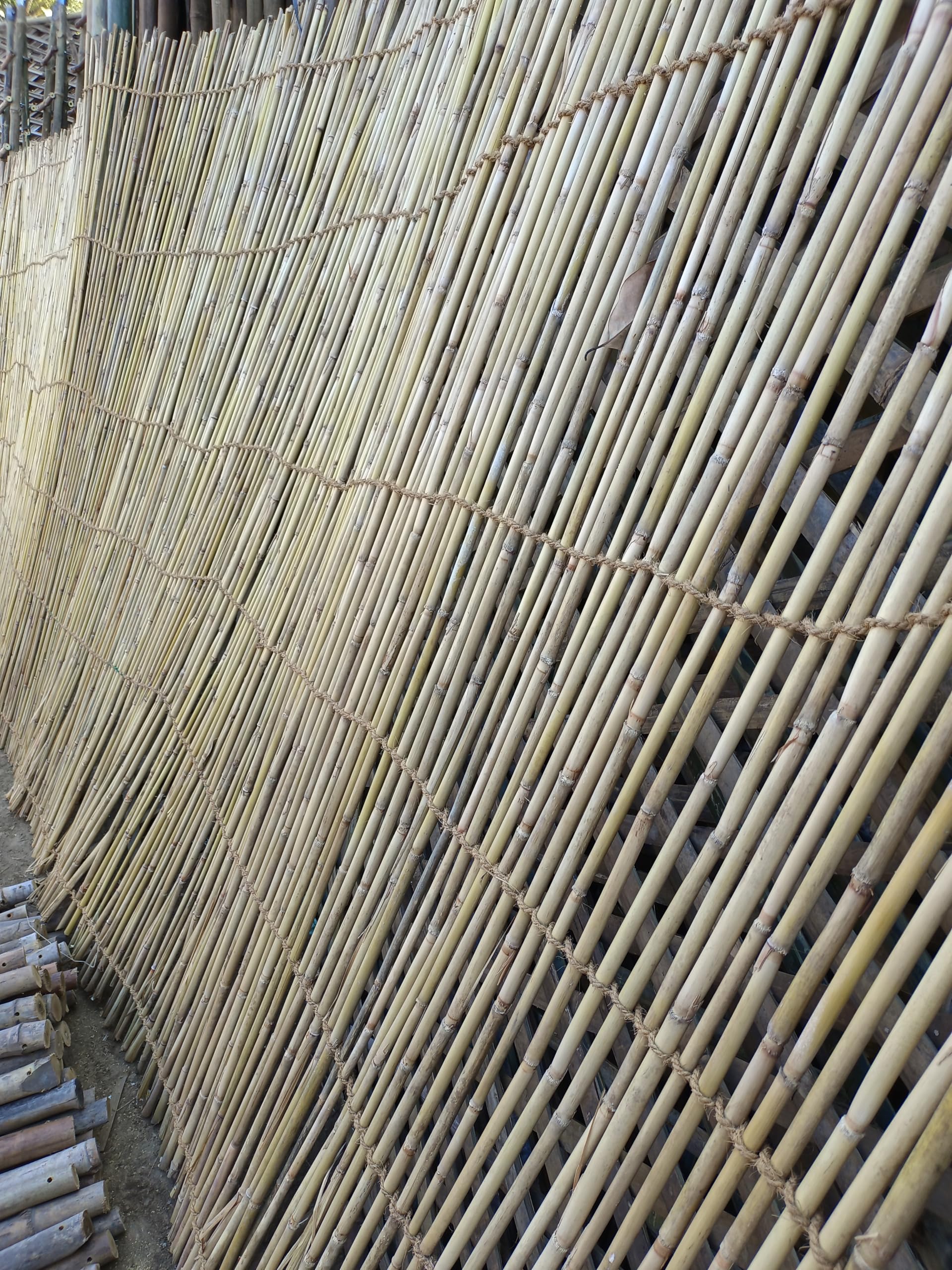 6.5x15 ft Bamboo Privacy Curtain — Standing Reed Screen for Balcony, Garden & Terrace