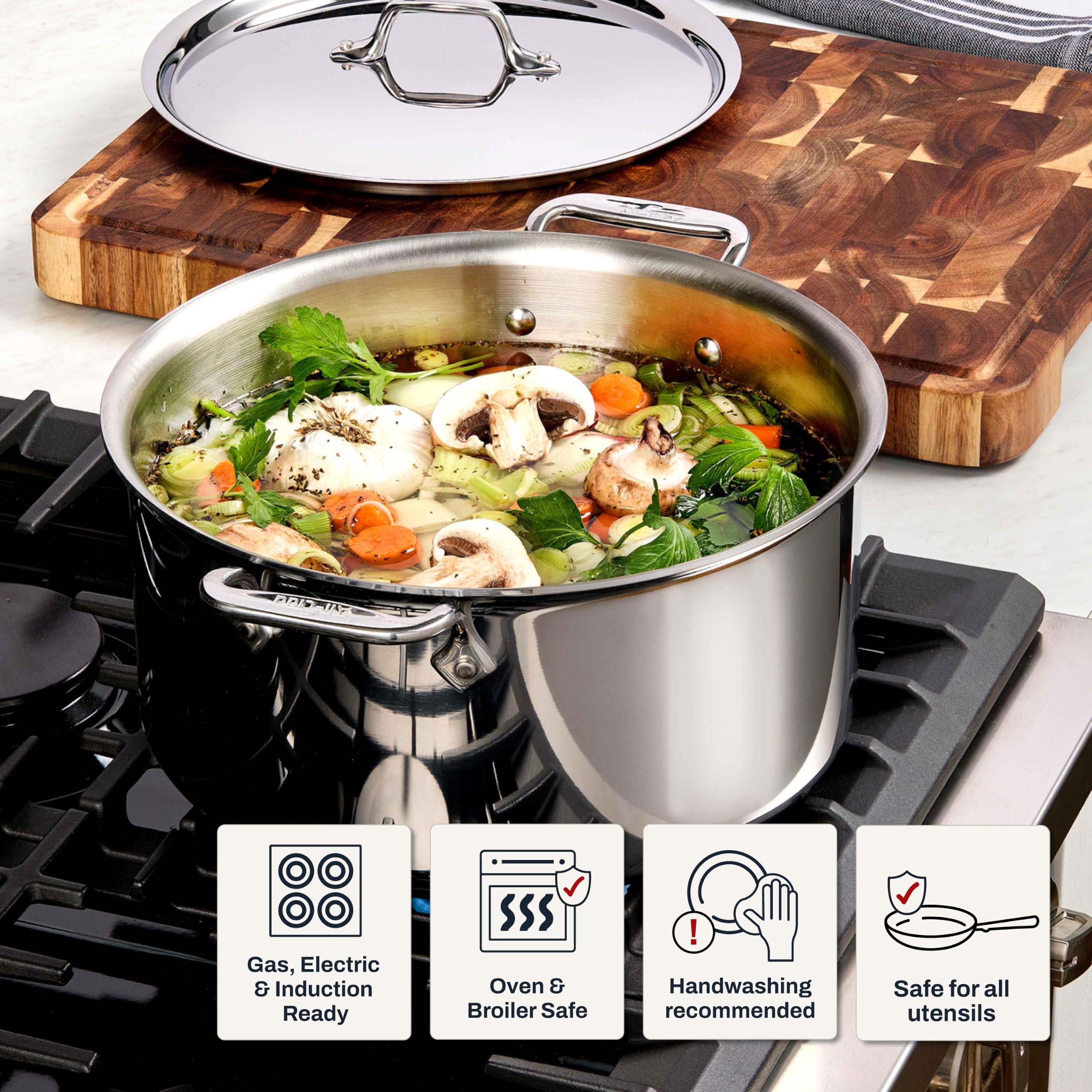 Amazon.com: All-Clad D3® Stainless Steel 6 Qt Stockpot with Lid