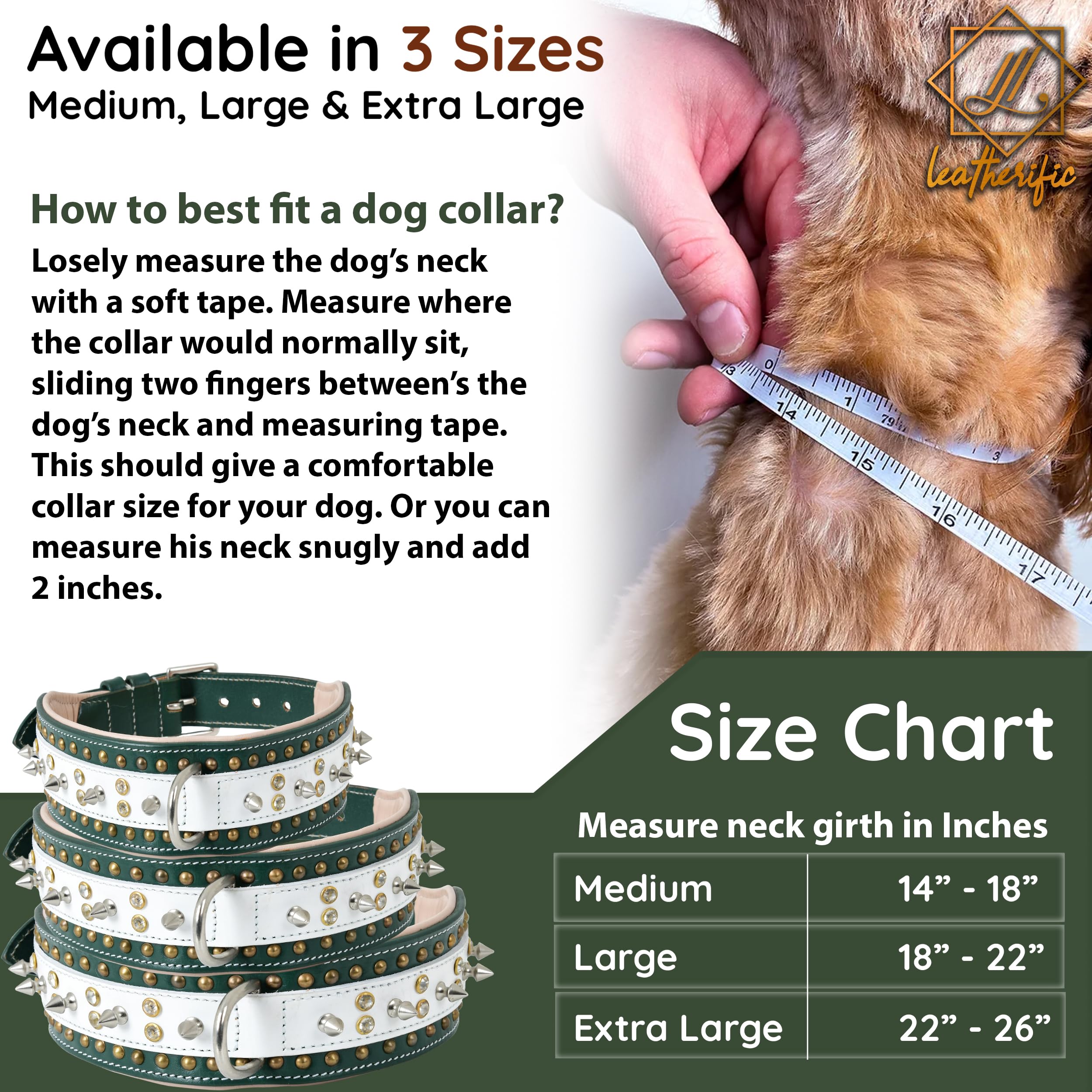 Leatherify - Collar de cuero genuino para perro, de alta calidad, resistente, acolchado, fuerte, con picos atornillados, razas medianas, grandes, extragrandes, 2 pulgadas de ancho (color verde bosque