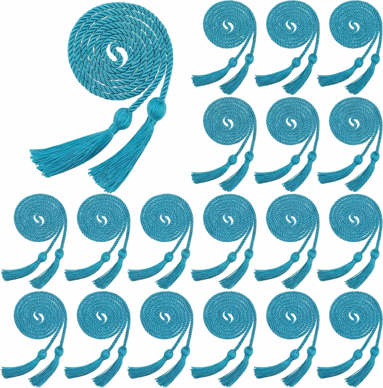 Boao 60 Pieces Graduation Cords Bulk 2026 Braided Honor Cord with Tassels for Graduation College Students (Sky Blue)