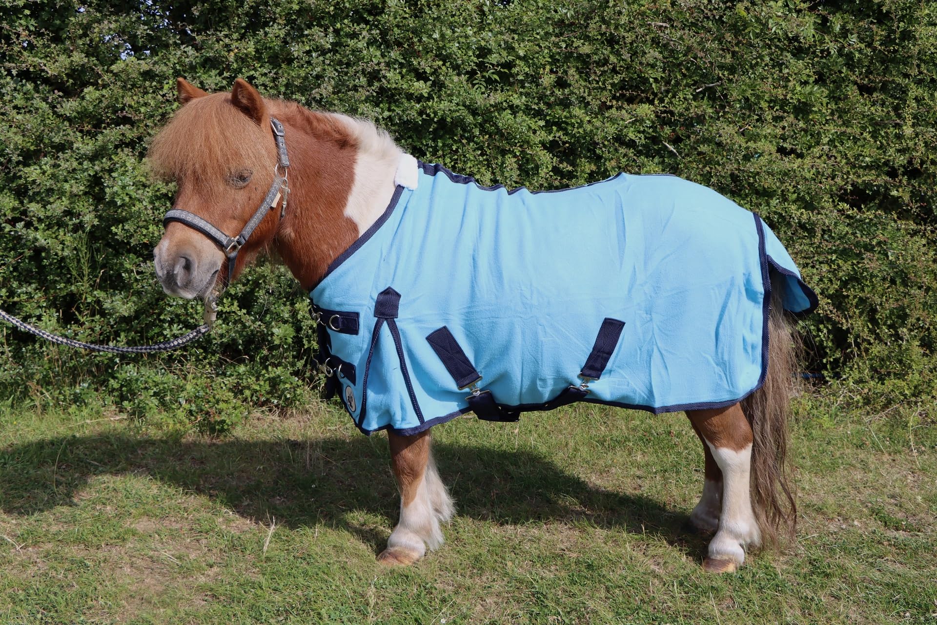 Ruggles Polar Fleece Rug For Shetland Section A Donkey and Miniature Horse | Versatile Rug Ideal for Shows Travel Stable after Exercise or Bathing (Sky Blue, 3' 9") — image 1