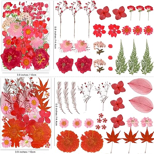 Miniatura 3 de Youthbro - Juego de 25 tipos de 133 piezas de flores secas prensadas rojas con calcomanías de mariposa, juego de hierbas para resina, bricolaje,