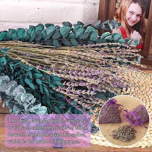Miniatura 4 de Tallos de eucalipto secos y flores de lavanda para ducha, 100 % naturales de hojas de eucalipto secas reales de 17 pulgadas con flor de lavanda