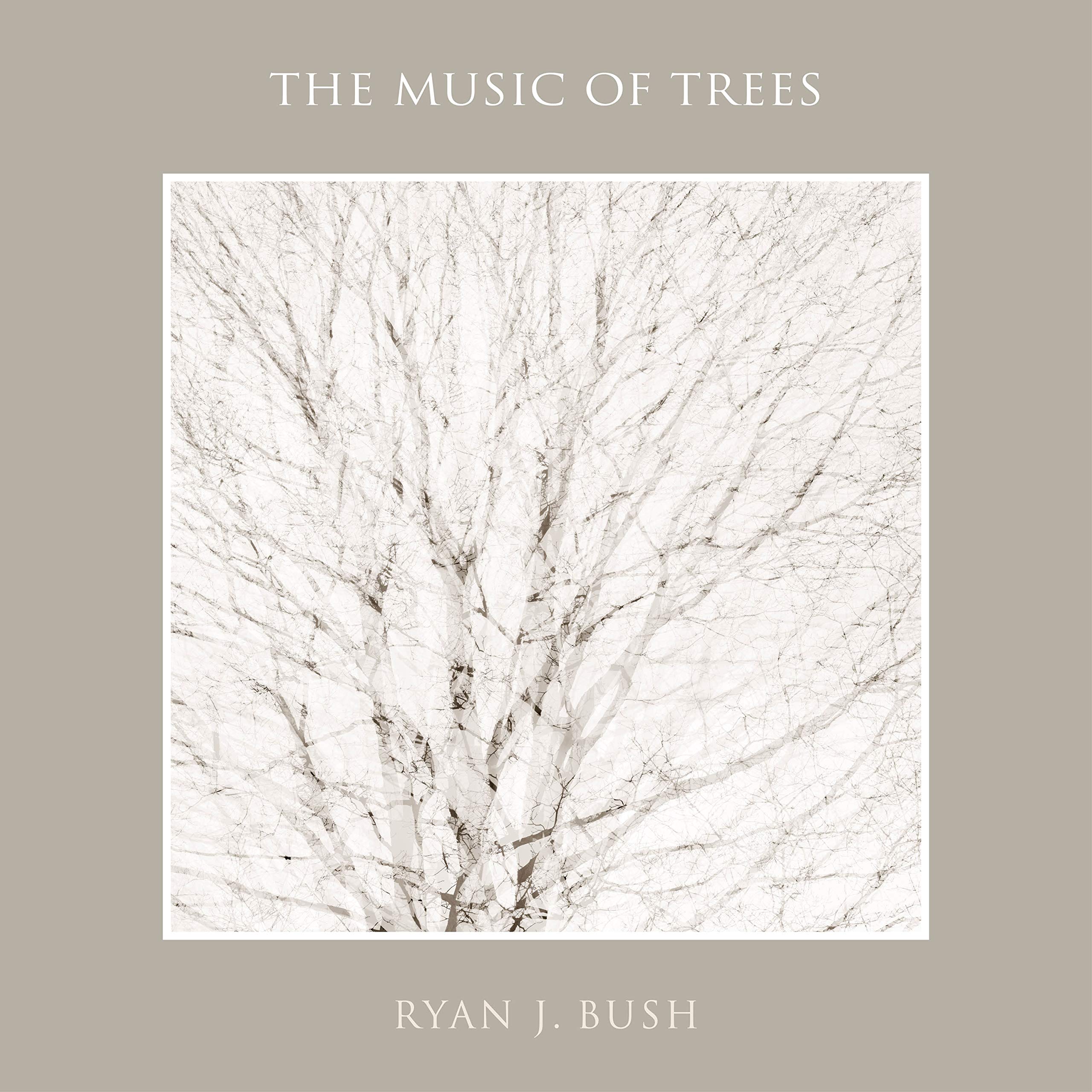 The Music of Trees: A Journey Through Three Series of Tree Photographs, and Three Ways of Seeing