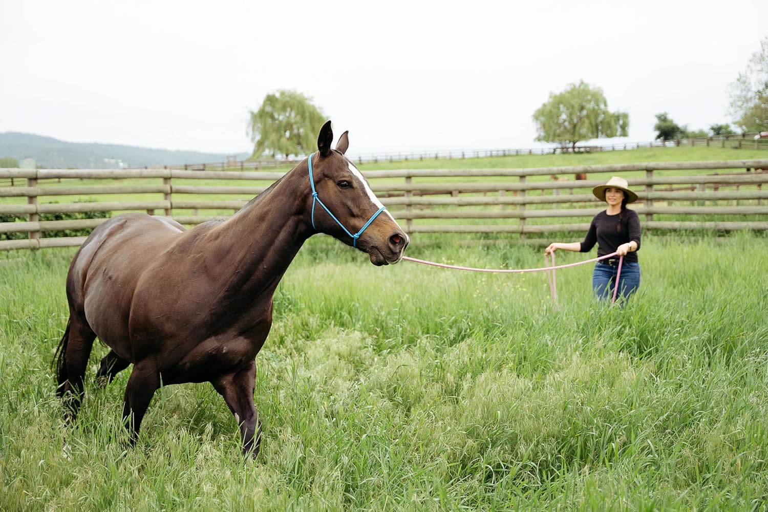 22' Long Line with SS O Ring and Carabiner (Turquoise Brown)
