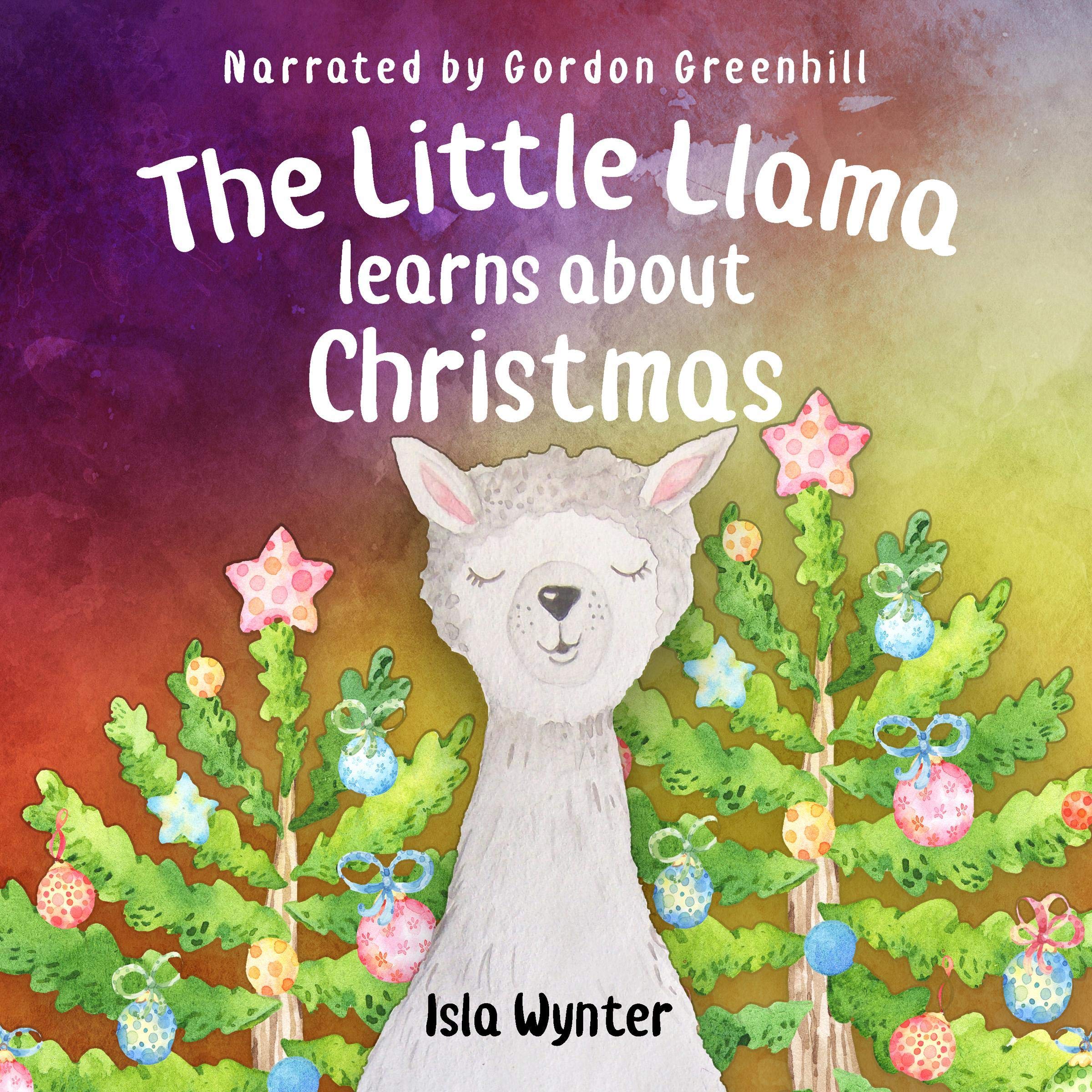 Cover art for The Little Llama Learns About Christmas