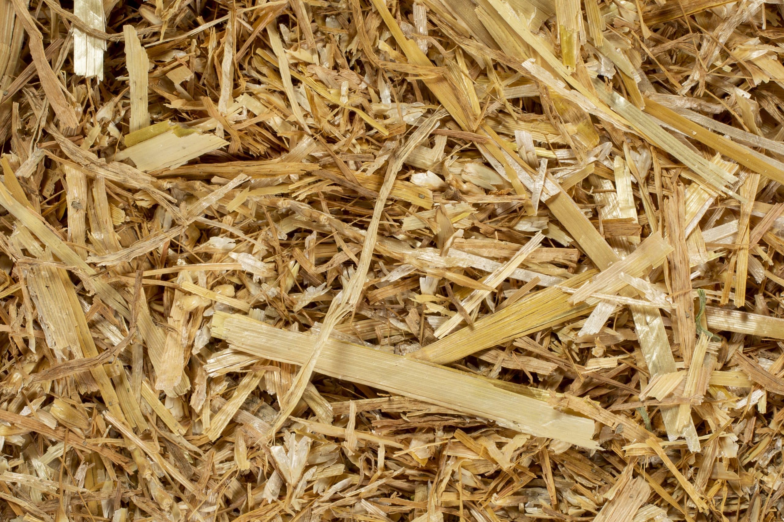 Lettiera in Paglia Bio 10 Kg per Polli, Cavalli, Galline, Asini, Puledri – Paglia Depolverata, Naturale, Assorbente, Ecologica, Termoisolante - Lettiera per Conigli