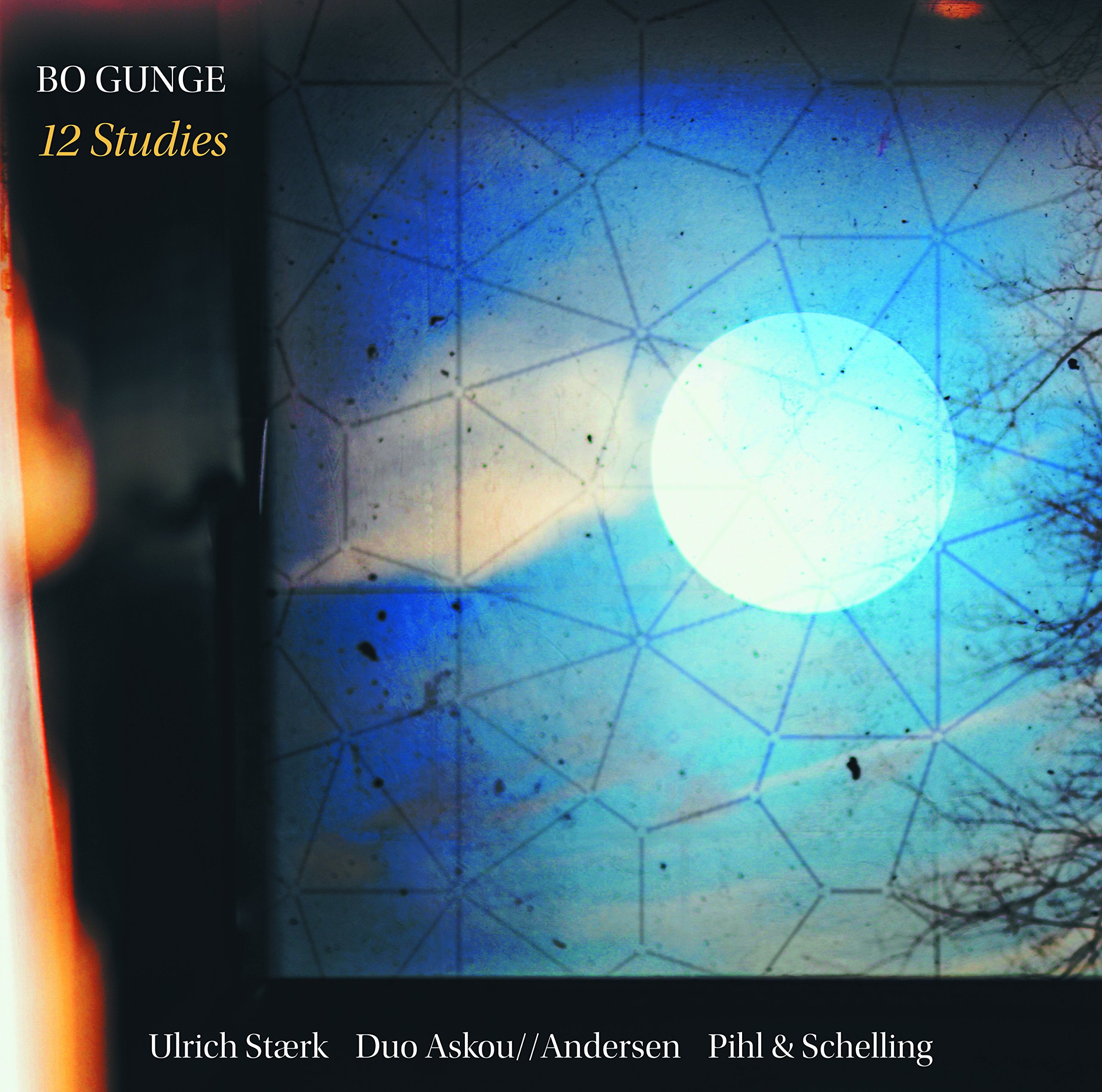 8226599 Various Artists Bo Gunge: 12 Studies CD 8226599 NEW