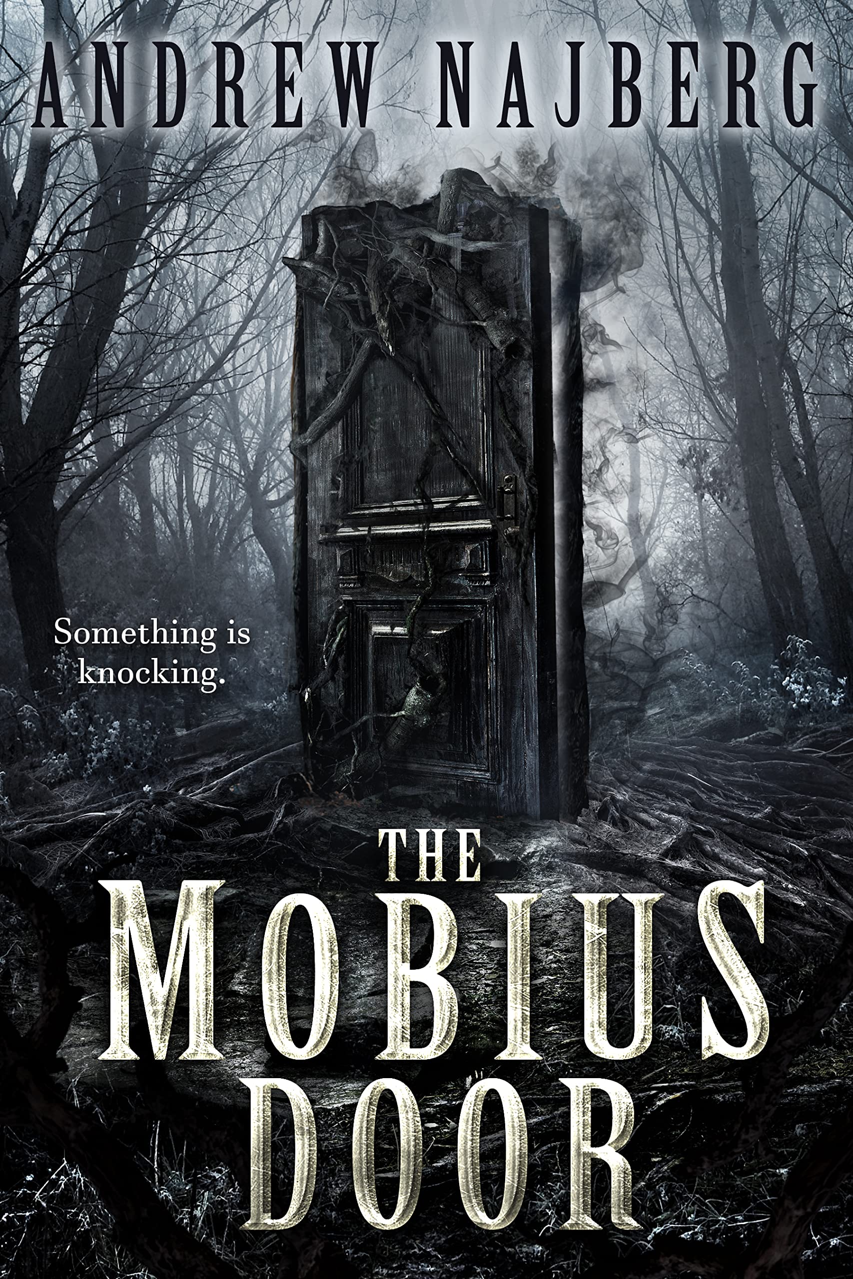Cover of The Mobius Door