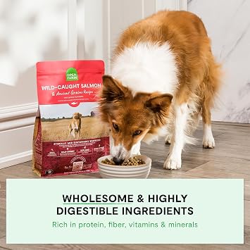 Open Farm Ancient Grains Dry Dog Food, Wild Caught Whitefish Kibble, 11lb | All Life Stages, All Breed Sizes, Protein-Rich & Nutrient Dense, 100% Traceable Ingredients, Non-GMO Fruits & Veggies.