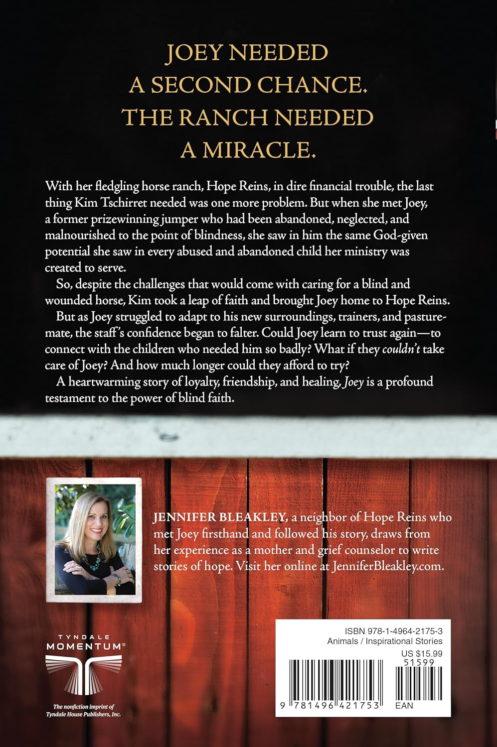 Joey: How a Blind Rescue Horse Helped Others Learn to See - Image 2