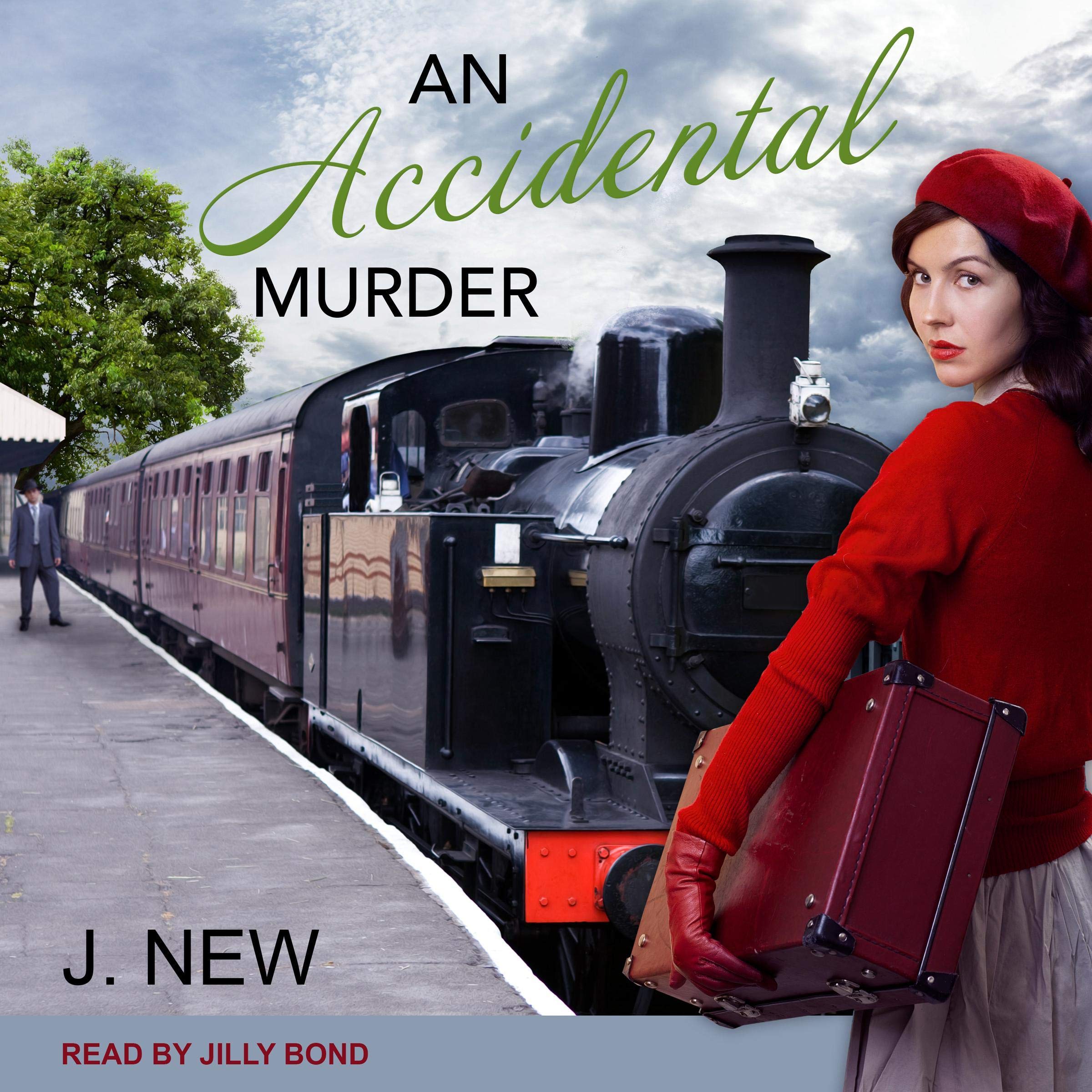 Cover art for An Accidental Murder