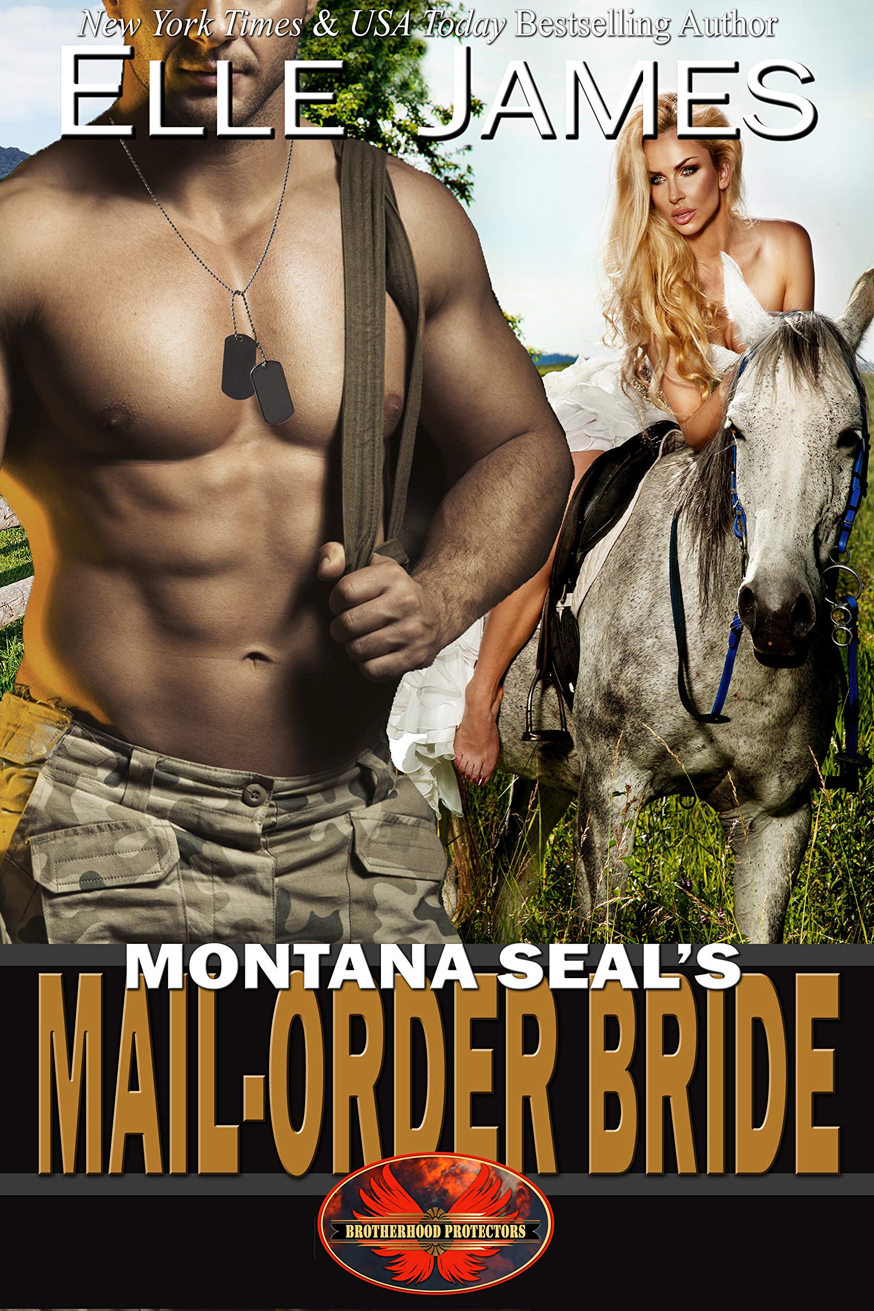 Montana SEAL's Mail-Order Bride (Brotherhood Protectors Book 12)