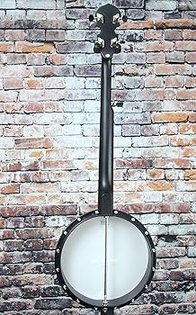 Amazon.com: Gold Tone AC-Traveler: Travel-Scale Composite 5