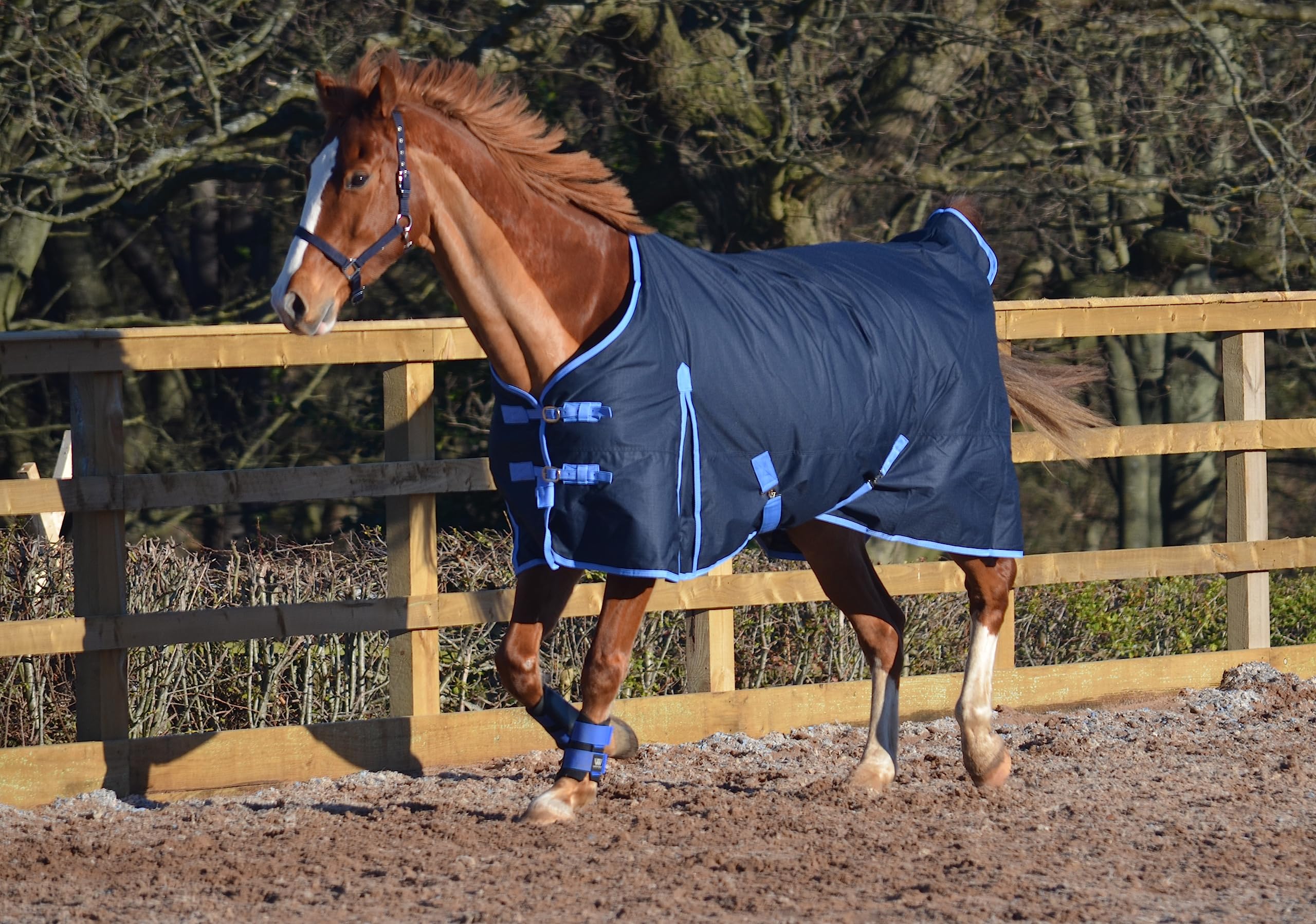 Turners Lightweight100g Fill Navy 600d Denier Horse Turnout Rug Standard Neck (6'6")