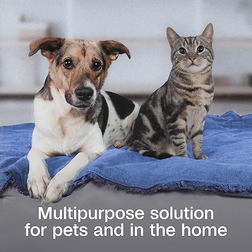 Miniatura 3 de Adams Botanicals Pulgas y garrapatas - Aerosol para mascotas, para perros, gatos y hogar, 16 onzas