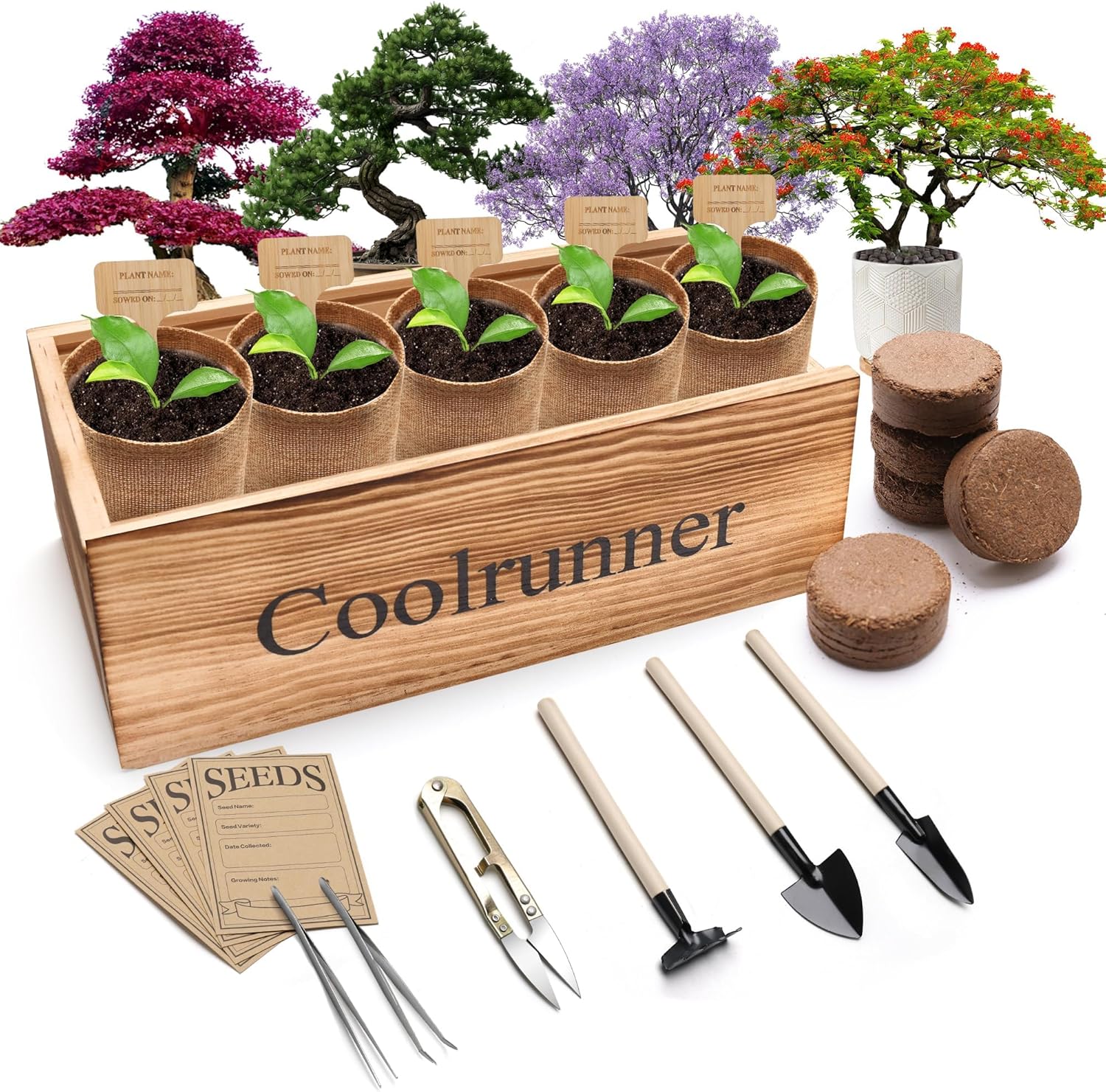Bonsai Tree Kit, Wooden Bonsai Starter Kit, Coolrunner Bonsai Tree Starter Kit, Mini Bonsai Plant Growing Kit with Seeds Packets, Soil Discs, Jute Bags, Plant Markers, Gardening Tools..(No Seeds)