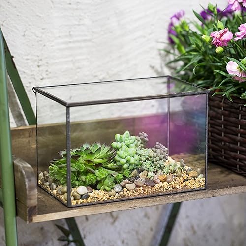 Miniatura 2 de NCYP Maceta rectangular pequeña de terrario de vidrio de 6.7 x 4.8 pulgadas con tapa, maceta geométrica transparente cuboide para suculentas,
