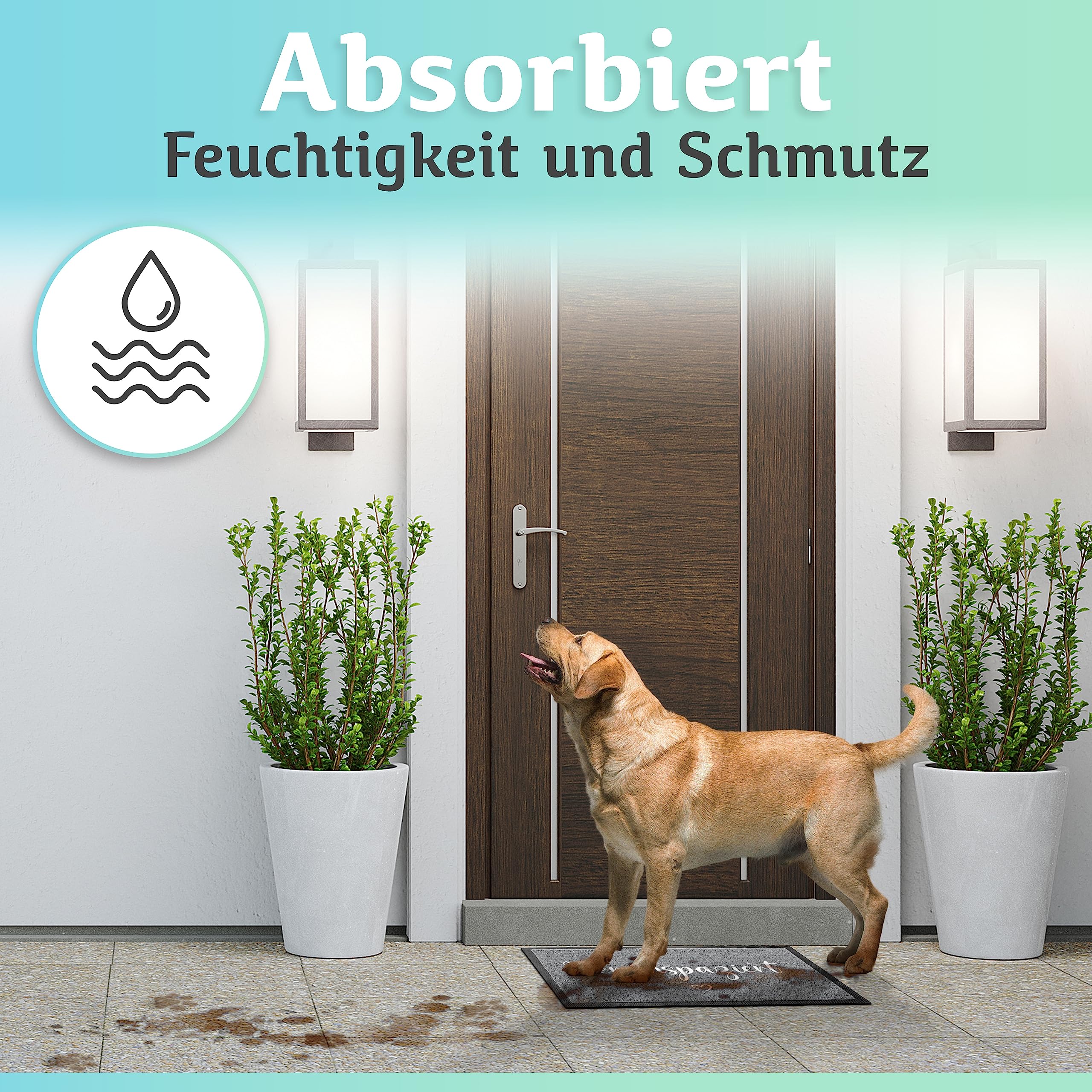 Bodenständig Hereinspaziert Fußmatte [Waschmaschinenfest] in 40x60cm - optimale Größe für die Haustür. Schmutzfangmatten innen, Welcome mat Spruch und Herz