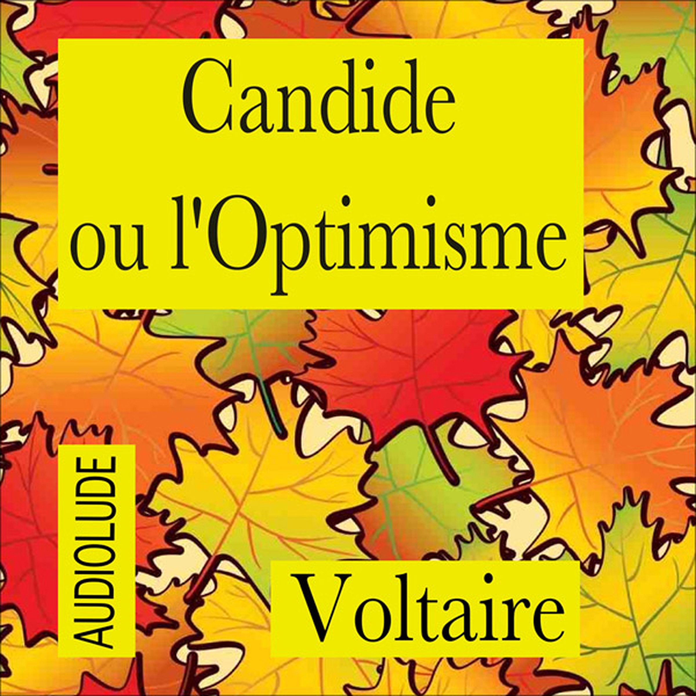 Cover art for Candide ou l'Optimisme