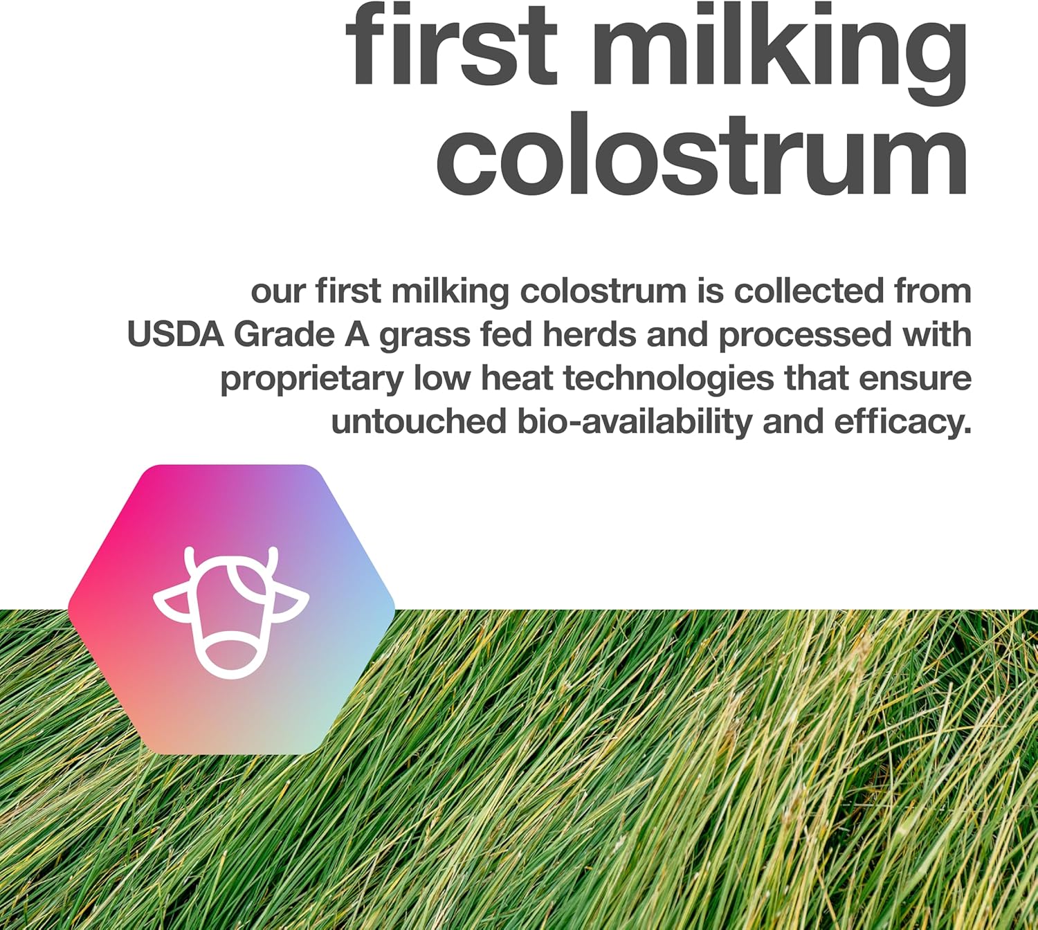 Pure Bovine Colostrum 180 Capsules - Antibiotic and Hormone Free - USA Sourced - All Natural - 100% First Milking - Image 5