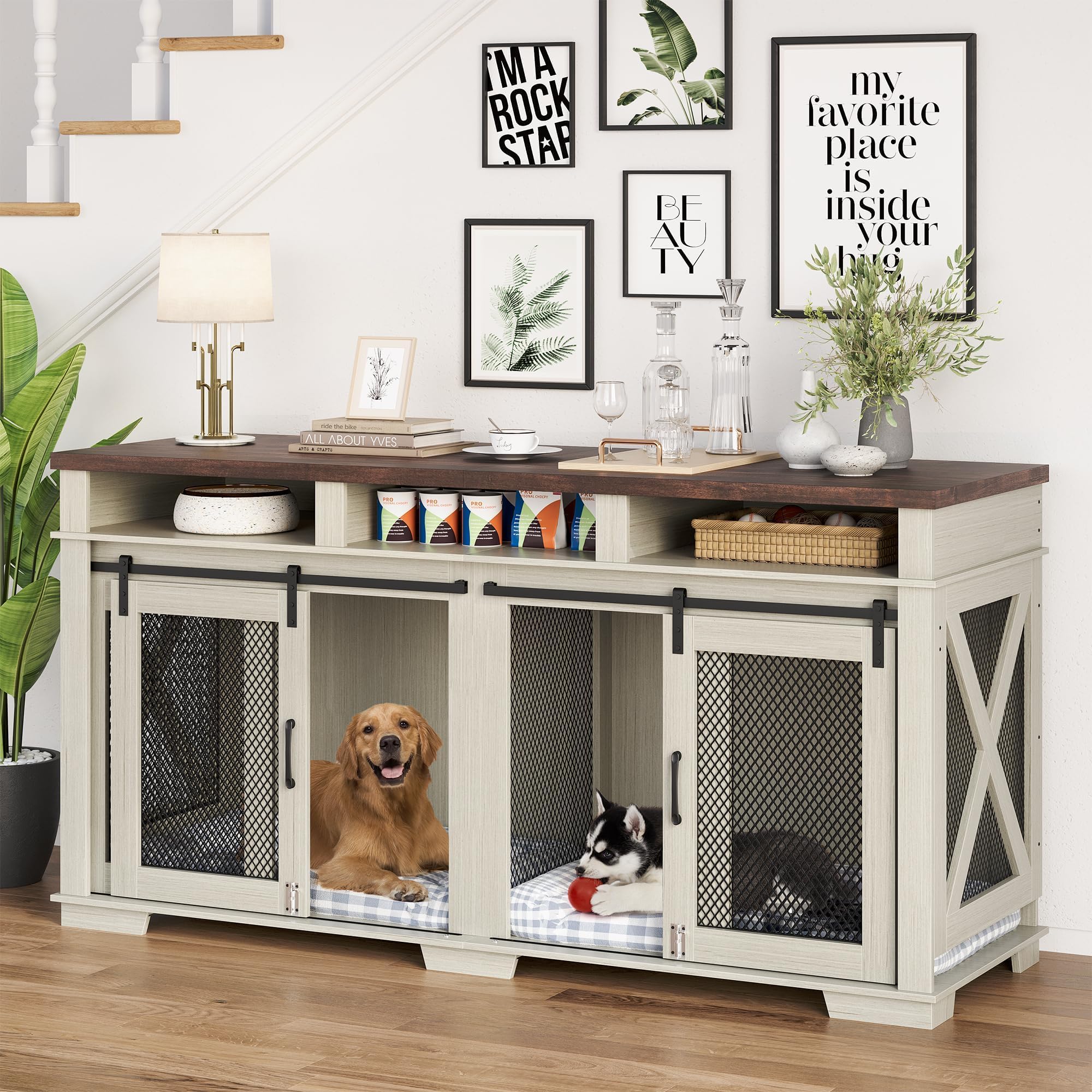 The Crate Boutique Dog Accessories photo