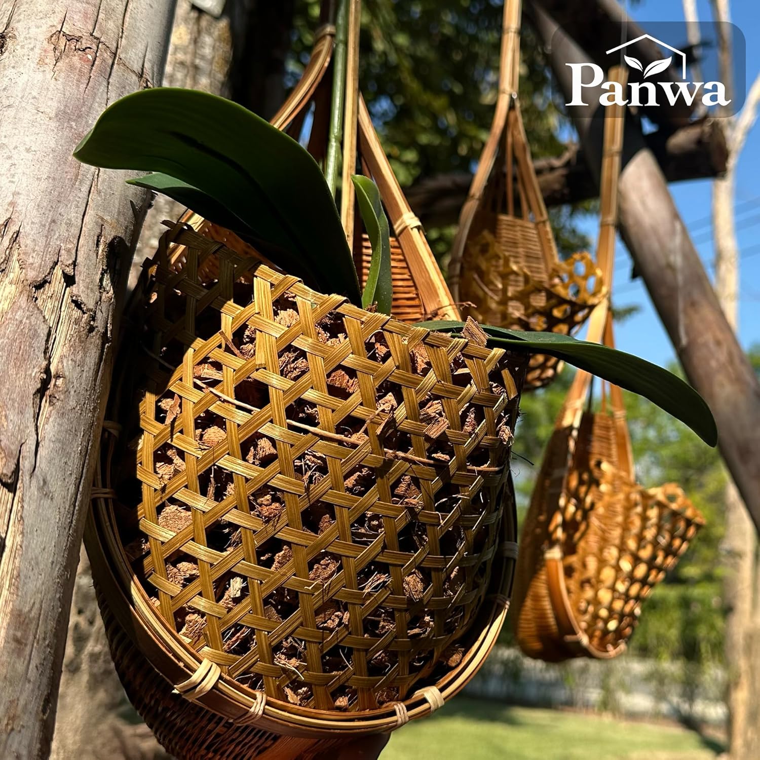 Handmade 100% Thai Bamboo Hanging Orchid Basket – 4 Inch, 5 Inch, 6 Inch (Triple Set)