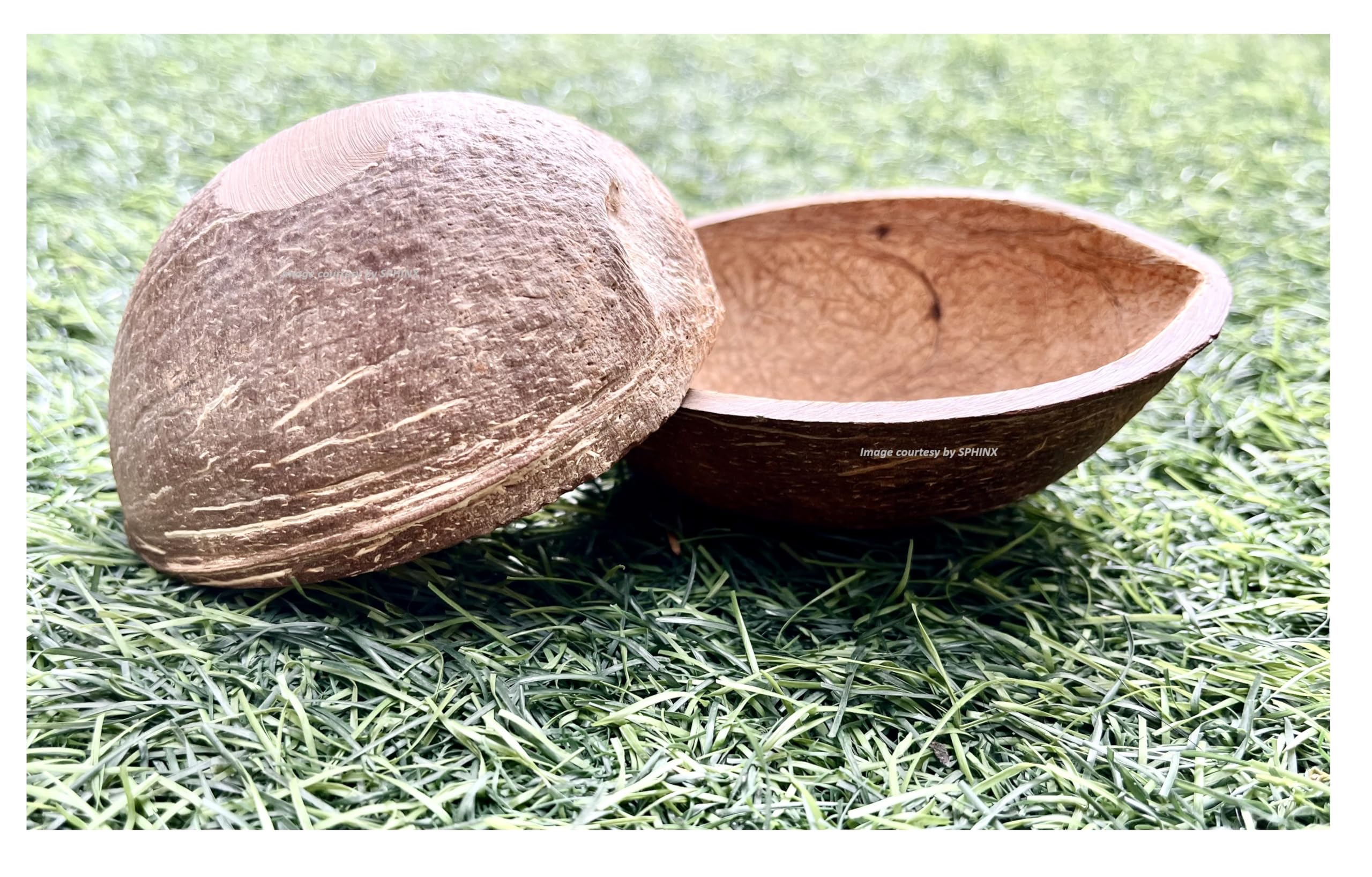 SPHINX Artisanal Biodegradable Natural Coconut Shells: Ideal for Candle Making, Filler, Table Decor, and Crafting- (Oval Shape-Matt Finish, 2 Pieces)