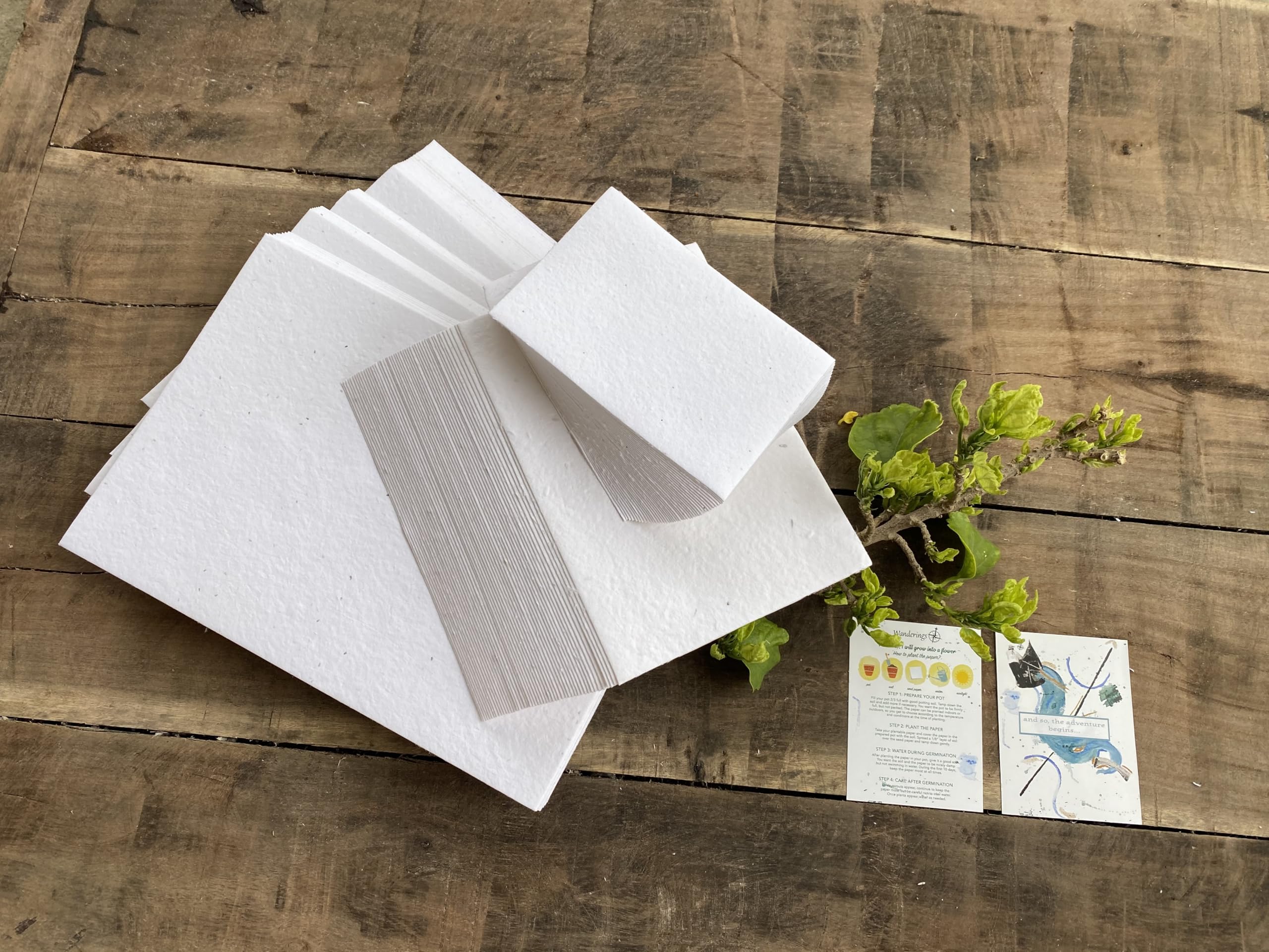 Wanderings Carta Piantabile con Semi di Fiori Selvatici A6 10,5x15 cm - 50 Fogli - Carta Fatta a Mano Riciclata 250 GSM - Biglietto con Semi da Piantare per Scrittura, Schizzi, Idee Regalo Ecologiche